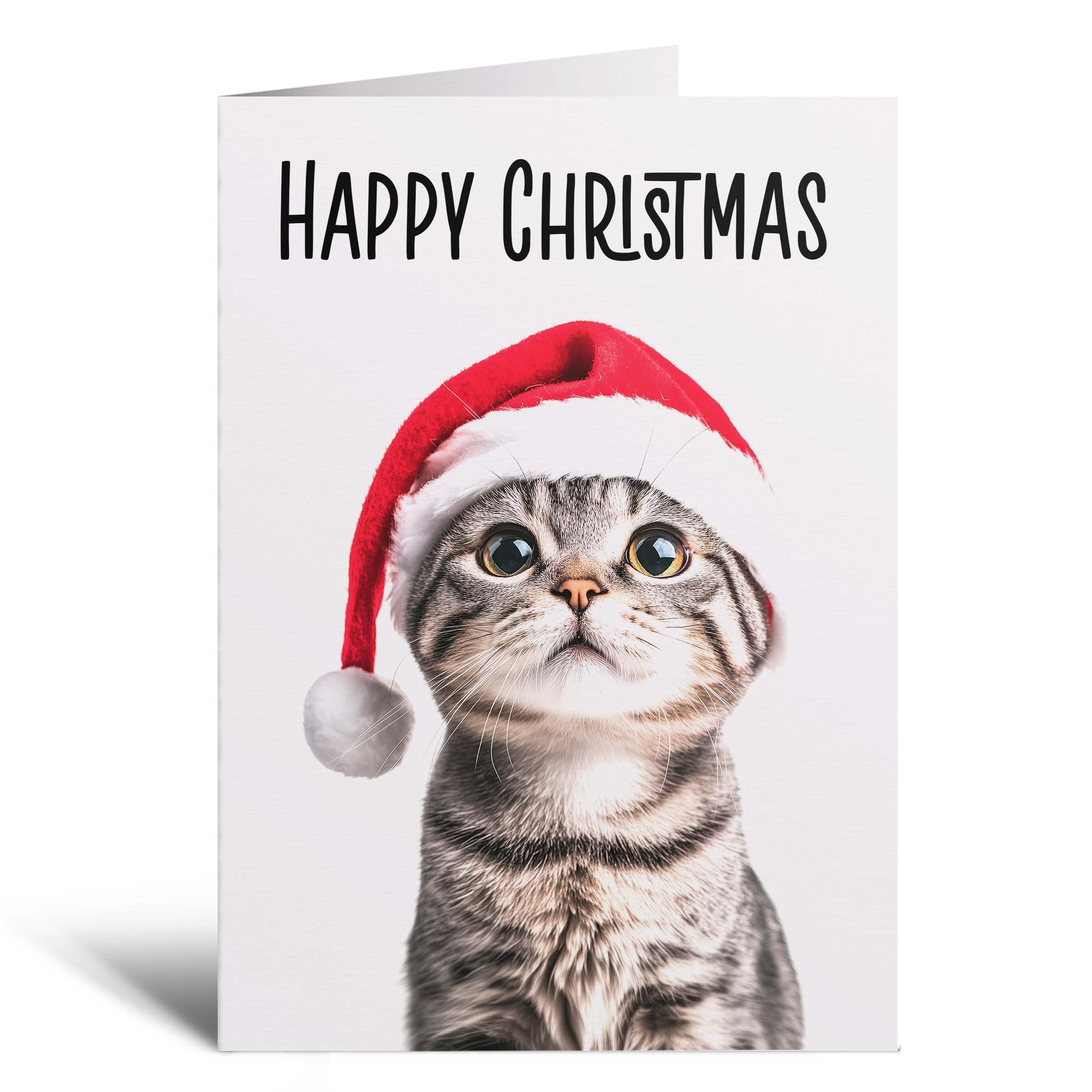 Postcard Prints - Fun Christmas Card of a Scotish Fold Cat Wearing A Santa Hat Whimsical Christmas Card For Animal Lover For Him or Her - 4 Cards