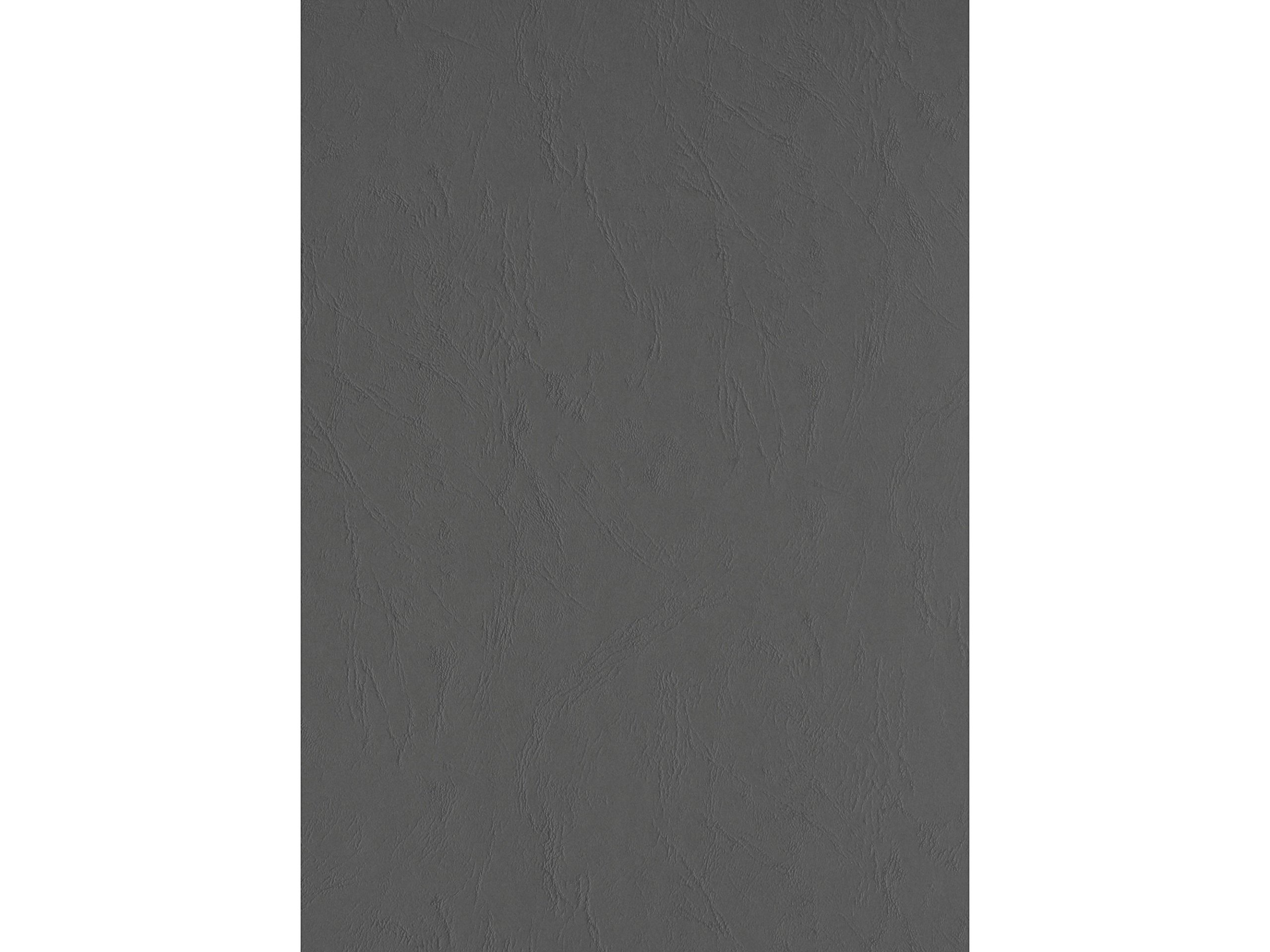 CLAIREFONTAINE - Lote de 100 tapas de encuadernación text&Cover de piel (240 g, A4, 210 x 297 mm), color gris pizarra