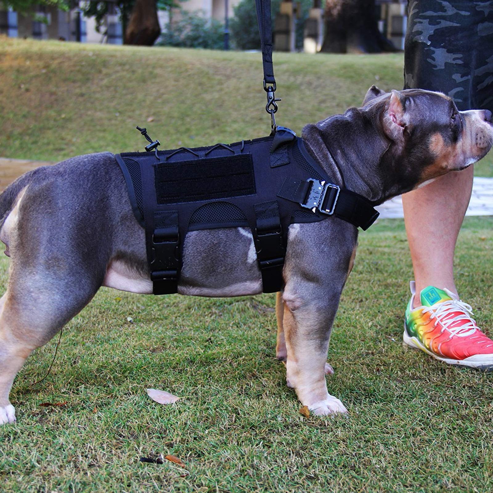 Arnés Perros Chaleco Táctico, Entrenamiento De Trabajo Molle Chaleco,MOLLE Compacta Arnés Nailon Bolsas Chaleco Abrigo para Mascota Senderismo, Caminar con Asa Y 2 Bolsos Desmontables,Negro,M