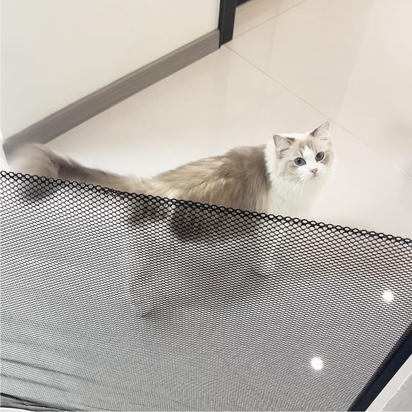 View 6