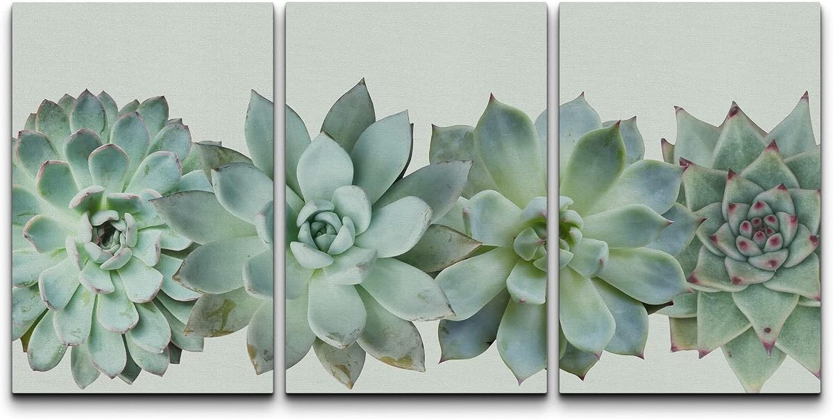 wall26 Juego de arte de pared con impresión en lienzo, variedad suculenta del desierto, primer plano, plantas florales, fotografía, realismo, grupo suroeste, colorido, fresco para sala de estar, dormitorio, oficina, 16 x 24 x 3