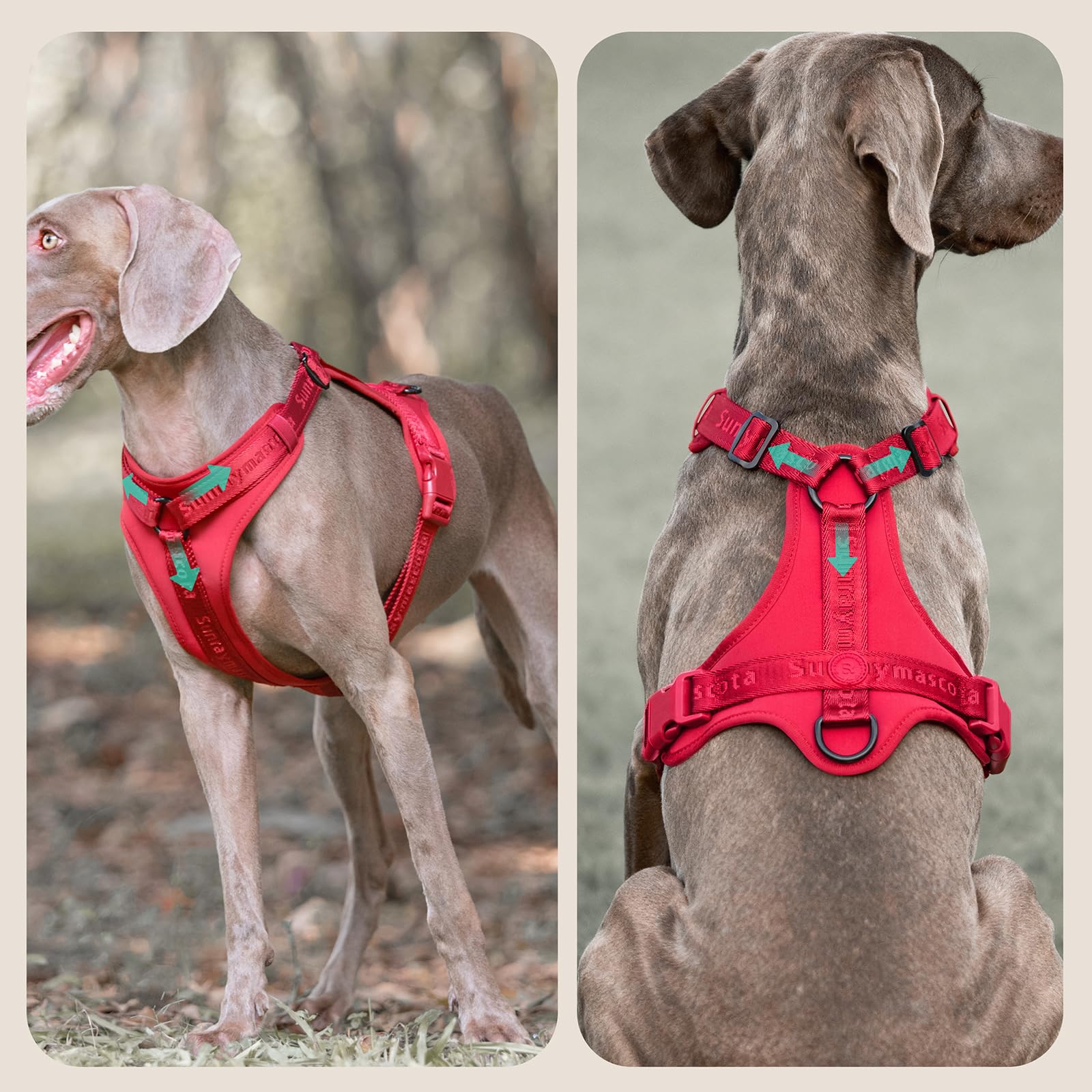 Hundegeschirr mit weicher Lycra-Polsterung, atmungsaktiver Komfortweste aus Mesh, Verstellbarer Größe für kleine, mittlere und große Rassen, mit Zwei Schnallen, sicheres(Burgunderrot,M)