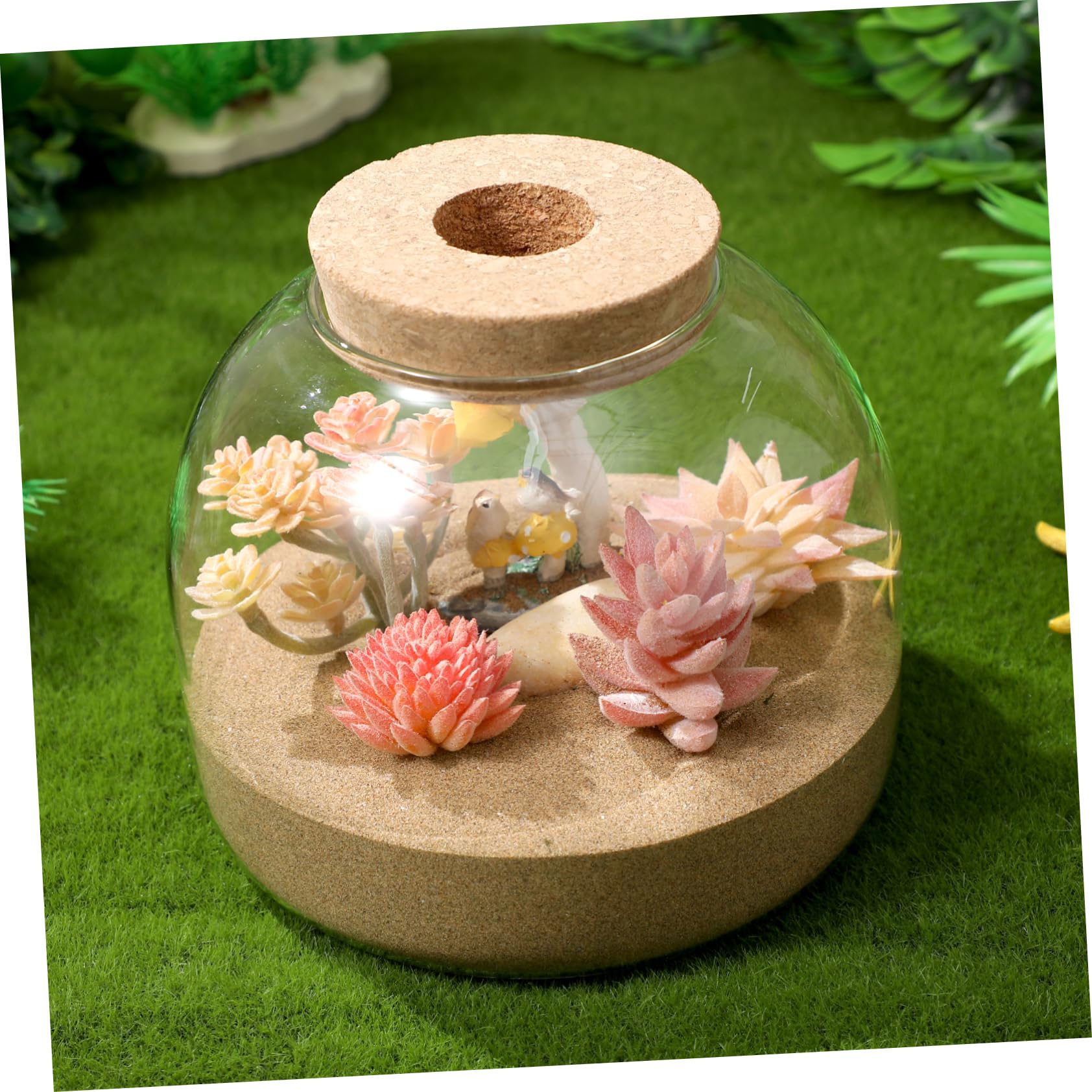 DOITOOL Glas Terrarium Pflanzgefäß für Sukkulenten und Moos Rundes Hydroponisches Kleiner Terrarium mit Korkverschluss Dekoratives Glasgefäß für Zimmerpflanzen und Selbstgemacht