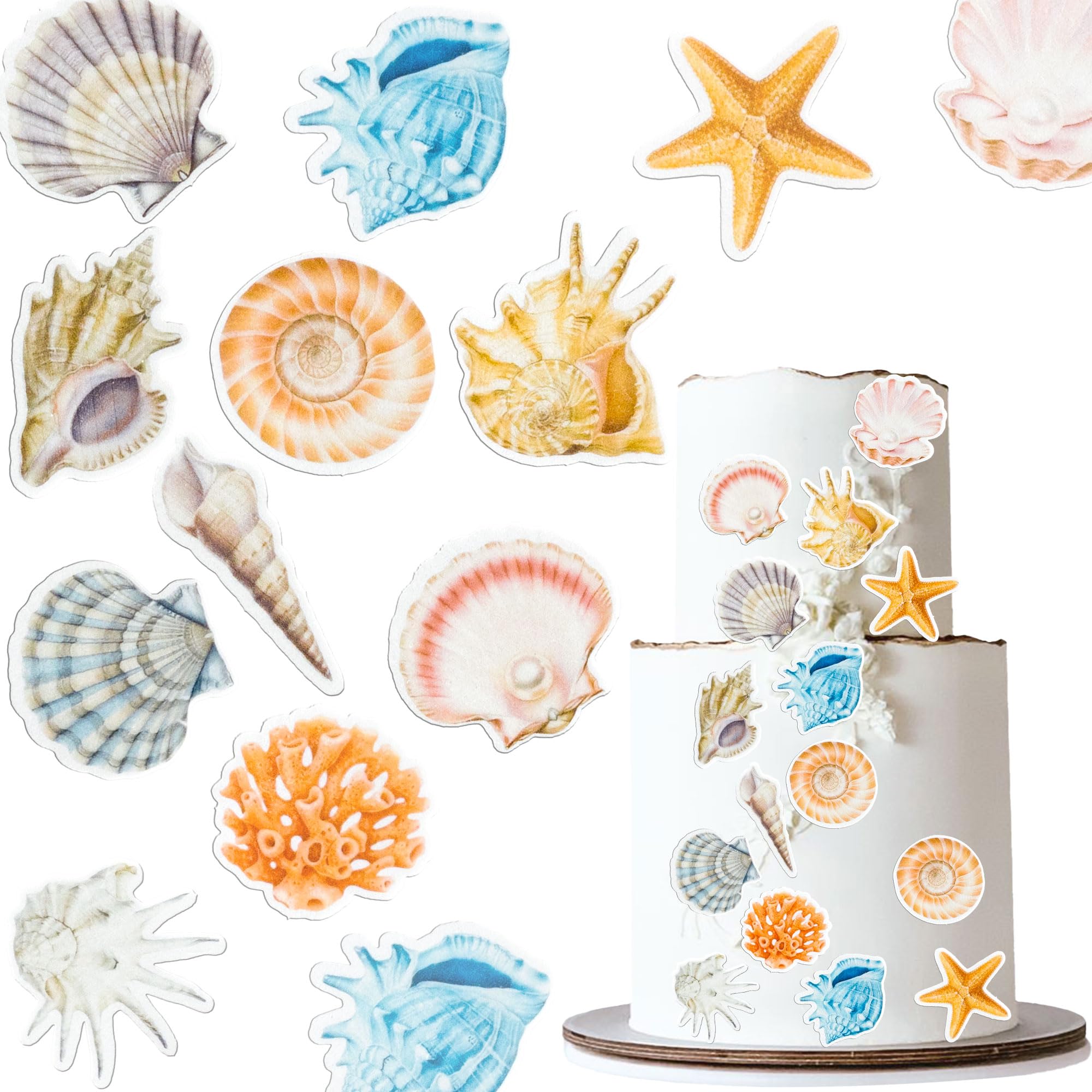 Ephlyn 60Pcs Edible Sea Shells Cupcake Toppers Edible Conch Sea Snail Cupcake Picks for Beach Party Wedding Cupcake Decorations Ocean Baby Shower Boys Girls Birthday Cake Decorations Supplies