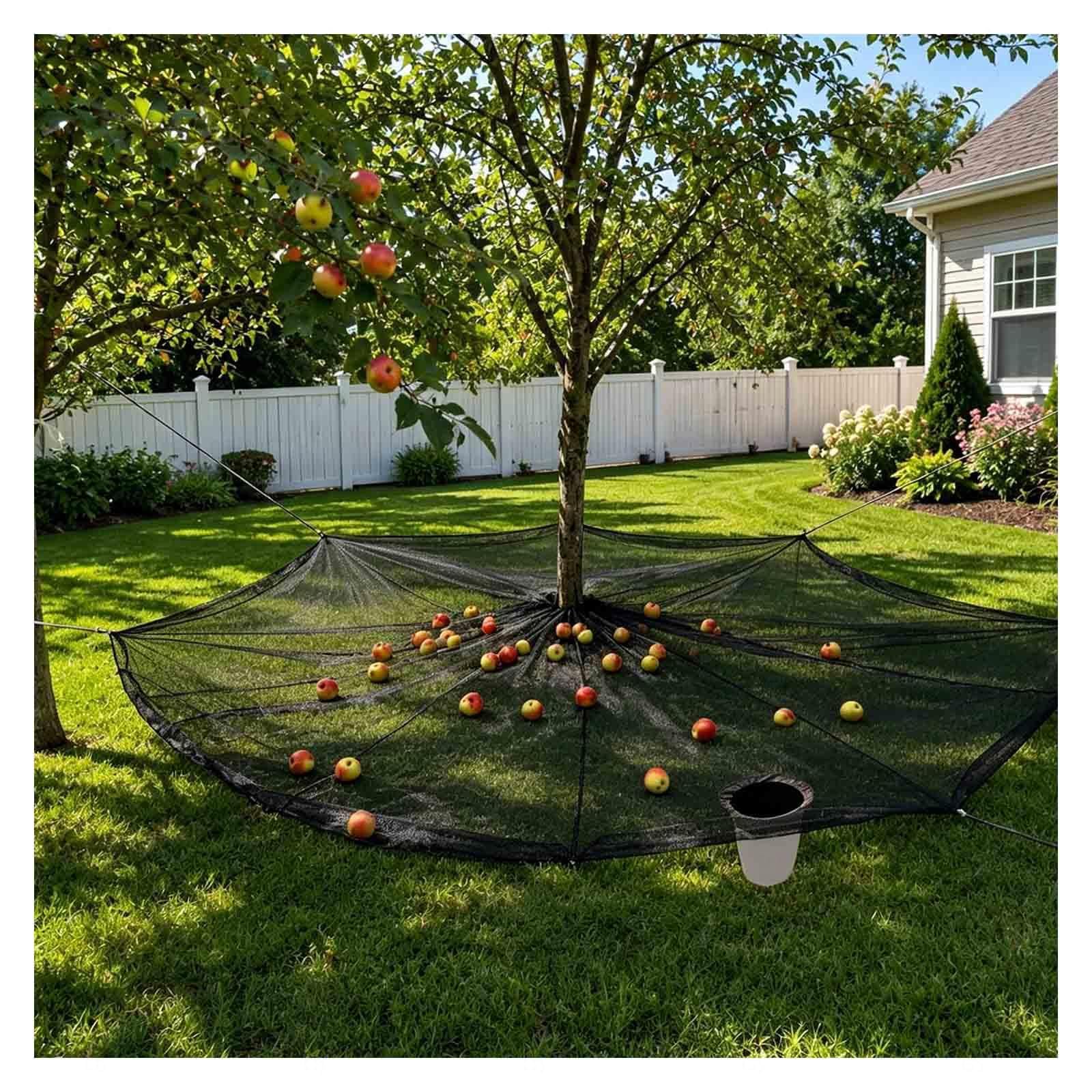 Rongyewxae Olive Harvest Net, with Fruit Export Hoop and Loop Side Rope Strap Fruit Harvesting Net Easy Picking Reusable for Yard and Orchard,Round-23×23FT(7×7m)