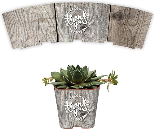 Miniatura 10 de Envolturas para macetas de suculentas para regalos de boda, baby shower o despedida de soltera, se adapta a macetas cuadradas de 2 pulgadas,