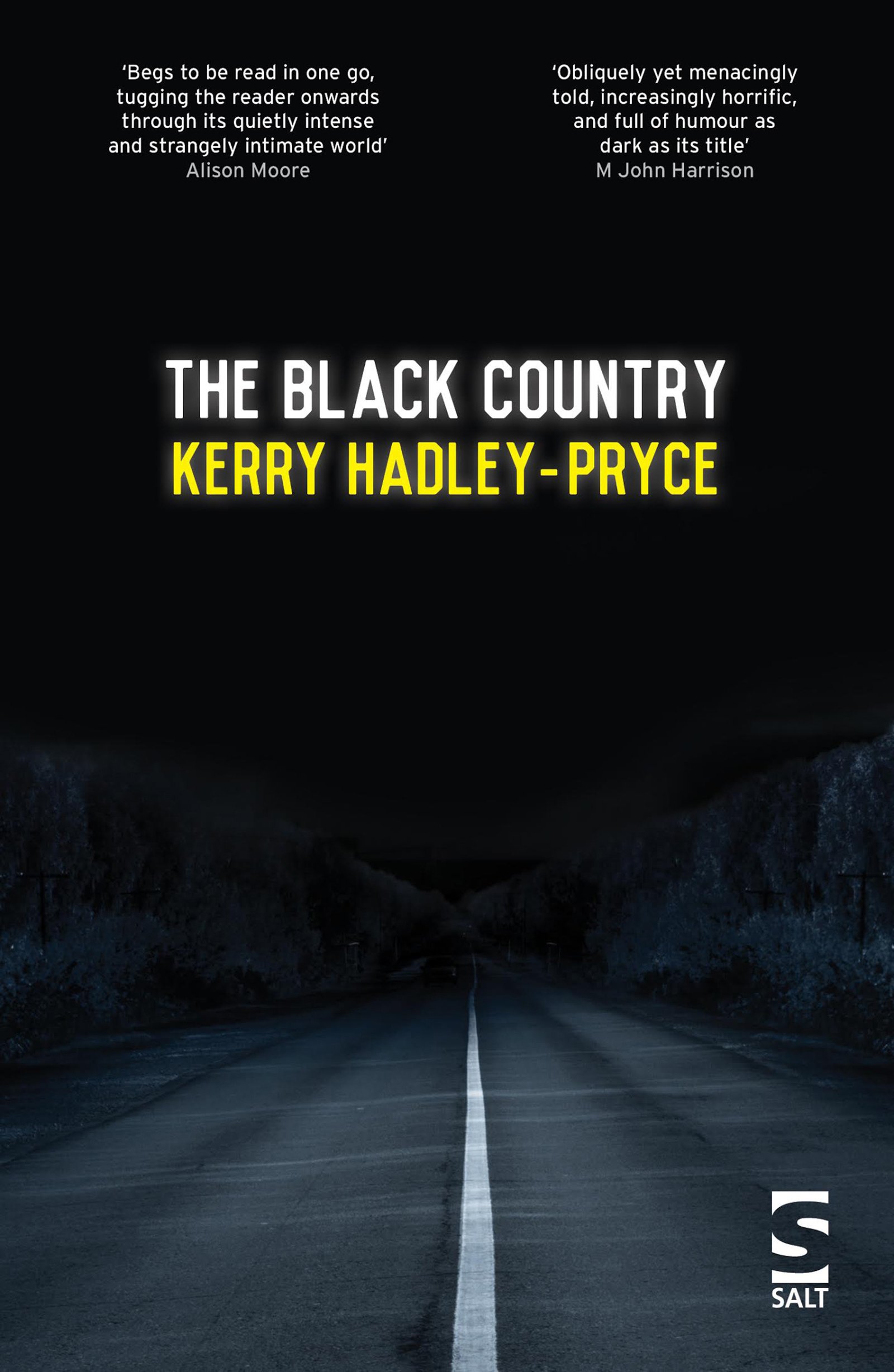 The Black Country (Salt Modern Fiction)