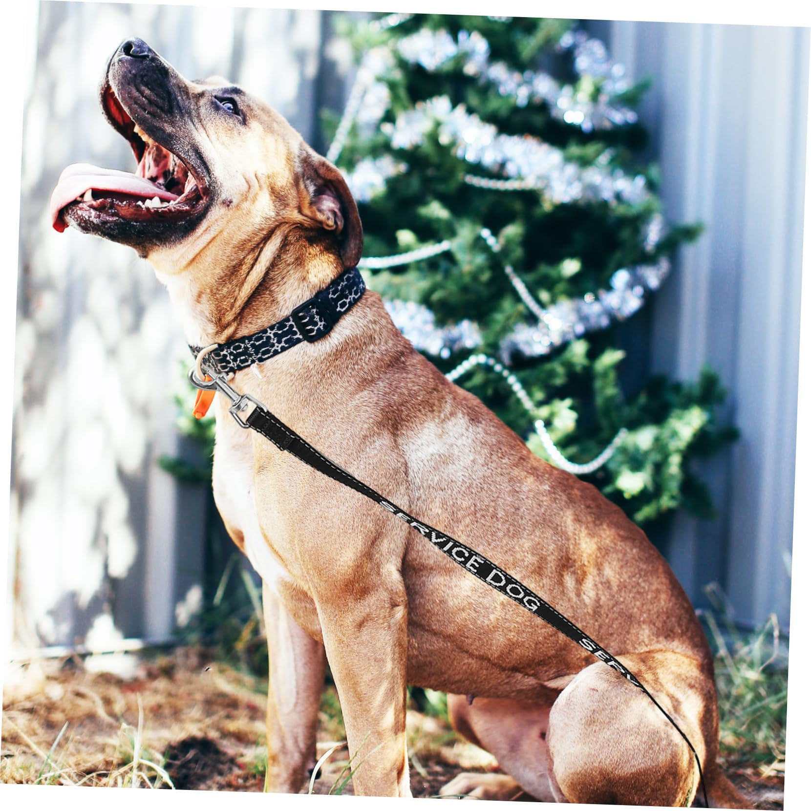SUPVOX 5 Pz guinzaglio per cani di servizio Guinzaglio per cuccioli Forniture per animali domestici cane guinzaglio portatile per animali domestici accessorio per cani nylon Black