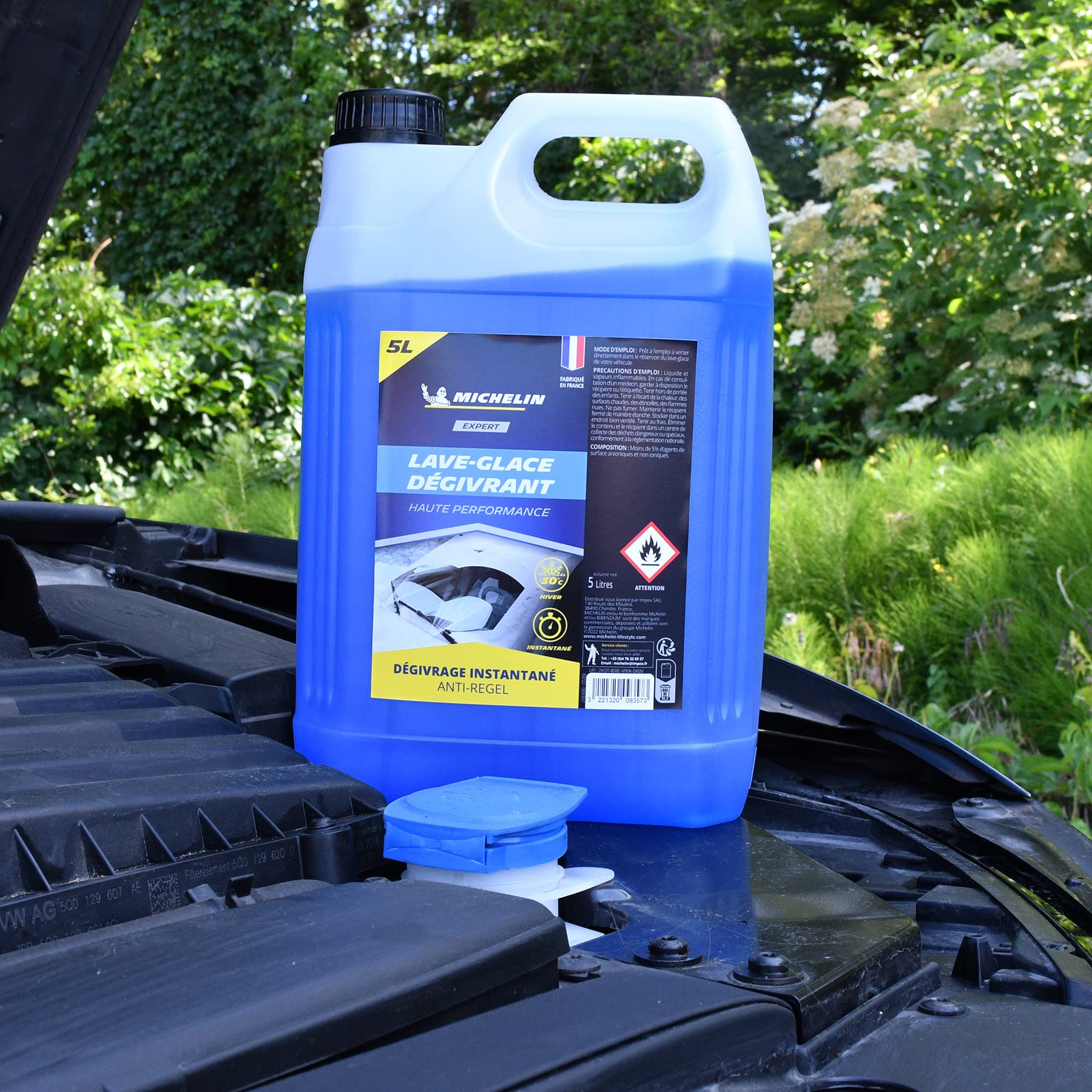 MICHELIN Expert 009357 Lave-Glace Dégivrant -30°C, Anti-Regel, 5 litres