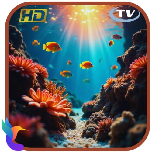 RelaxScapeVibes - Tropical Aquarium TV : Récif corallien et poissons apaisants