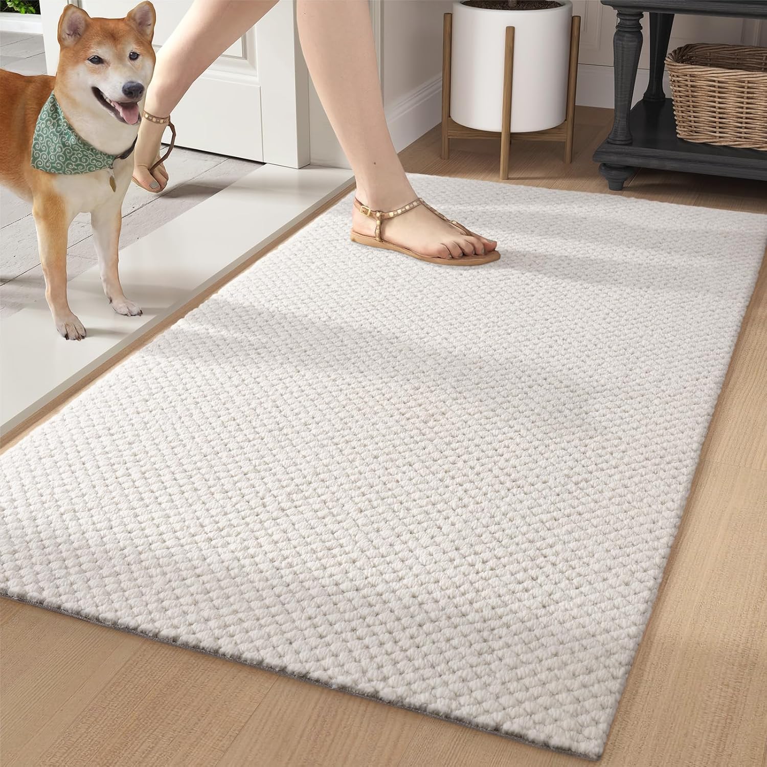 Color&Geometry Luxury Door Mat Entryway Rugs Indoor, Low