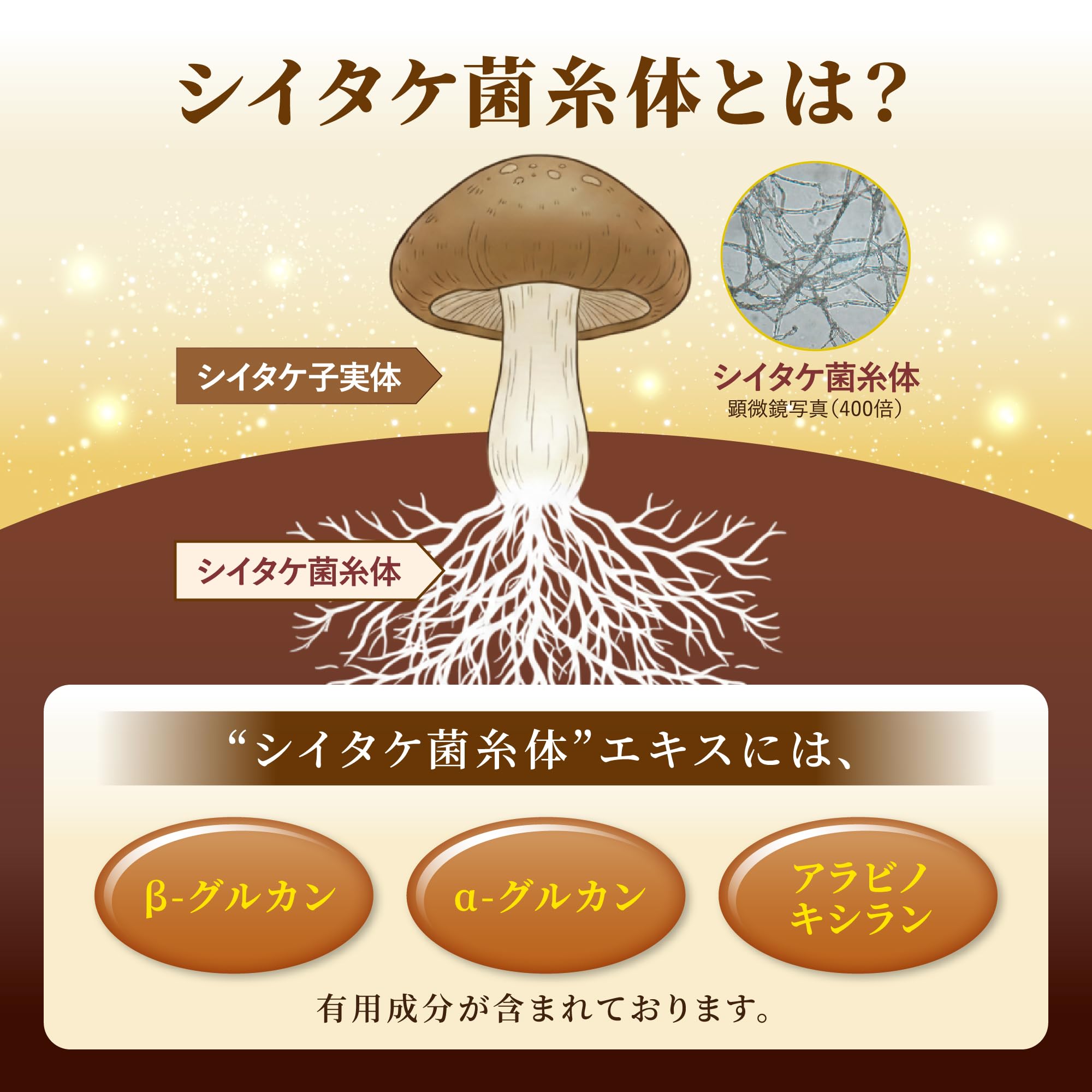 Amazon.co.jp: シイタゲン-α(アルファ)小林製薬 シイタケ菌糸体エキス