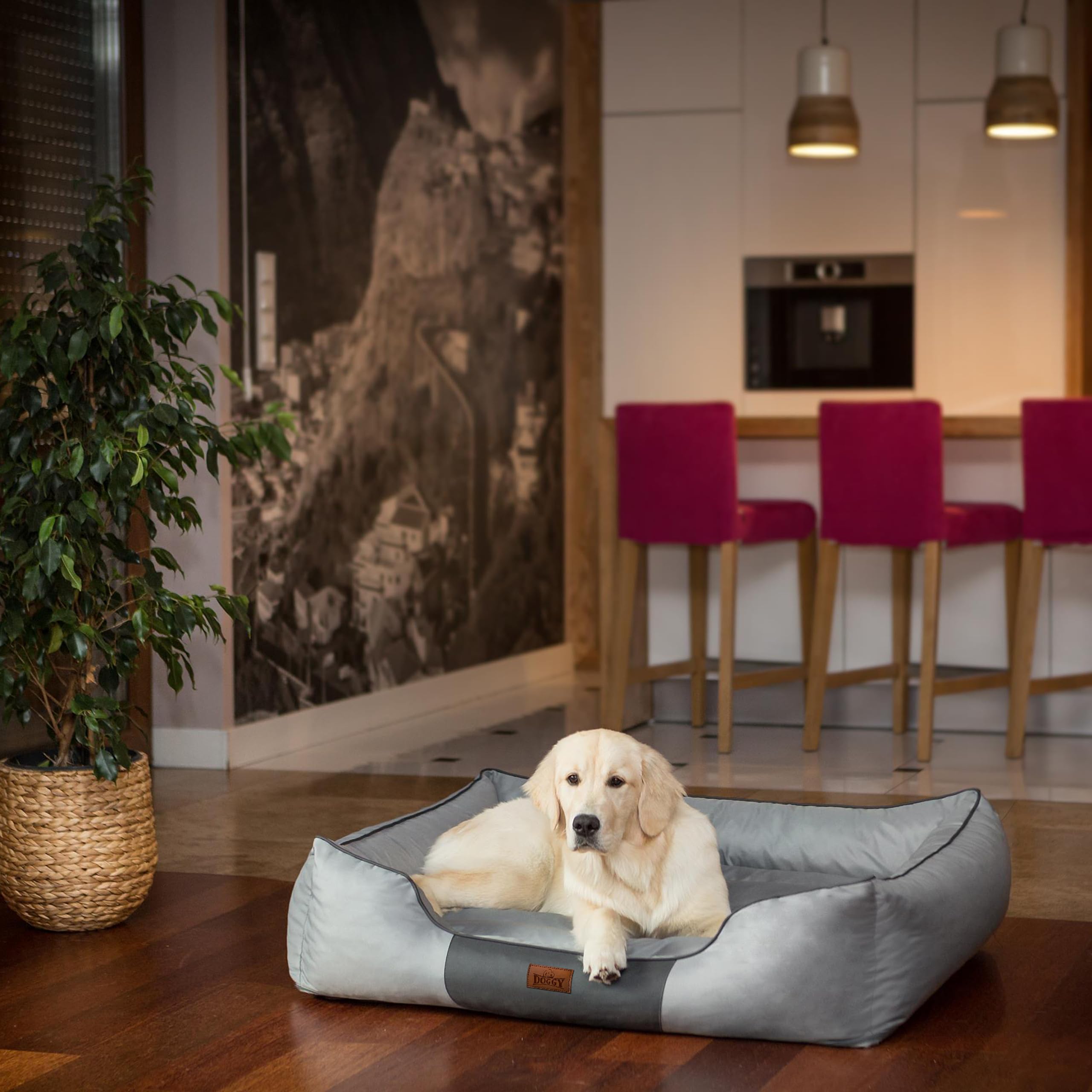 Cuccia per animali domestici, cuscino per cani, cuccia per cani, lettino, cuscino per cani, letto per cani, materasso XL – 85 x 65 cm cenere