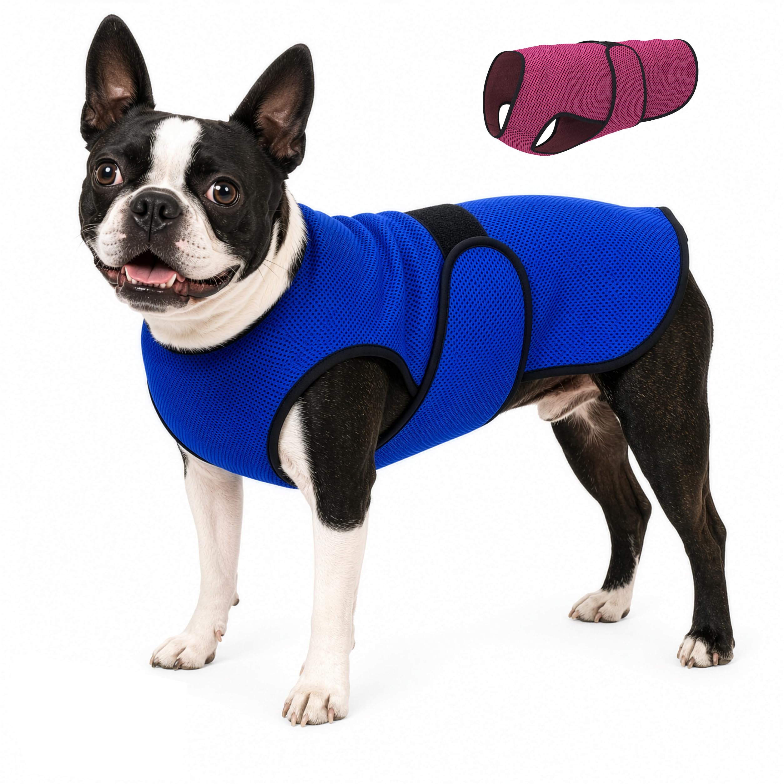 Giacca leggera con tecnologia evaporativa in microfibra fredda, protezione UV per spiaggia, taglia per cani di taglia piccola, media e grande (M, blu scuro)
