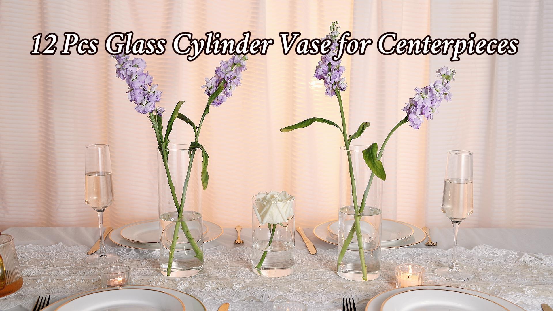 Amazon.com: UPBUD 12pcs Glass Cylinder Vases for Centerpieces | 10