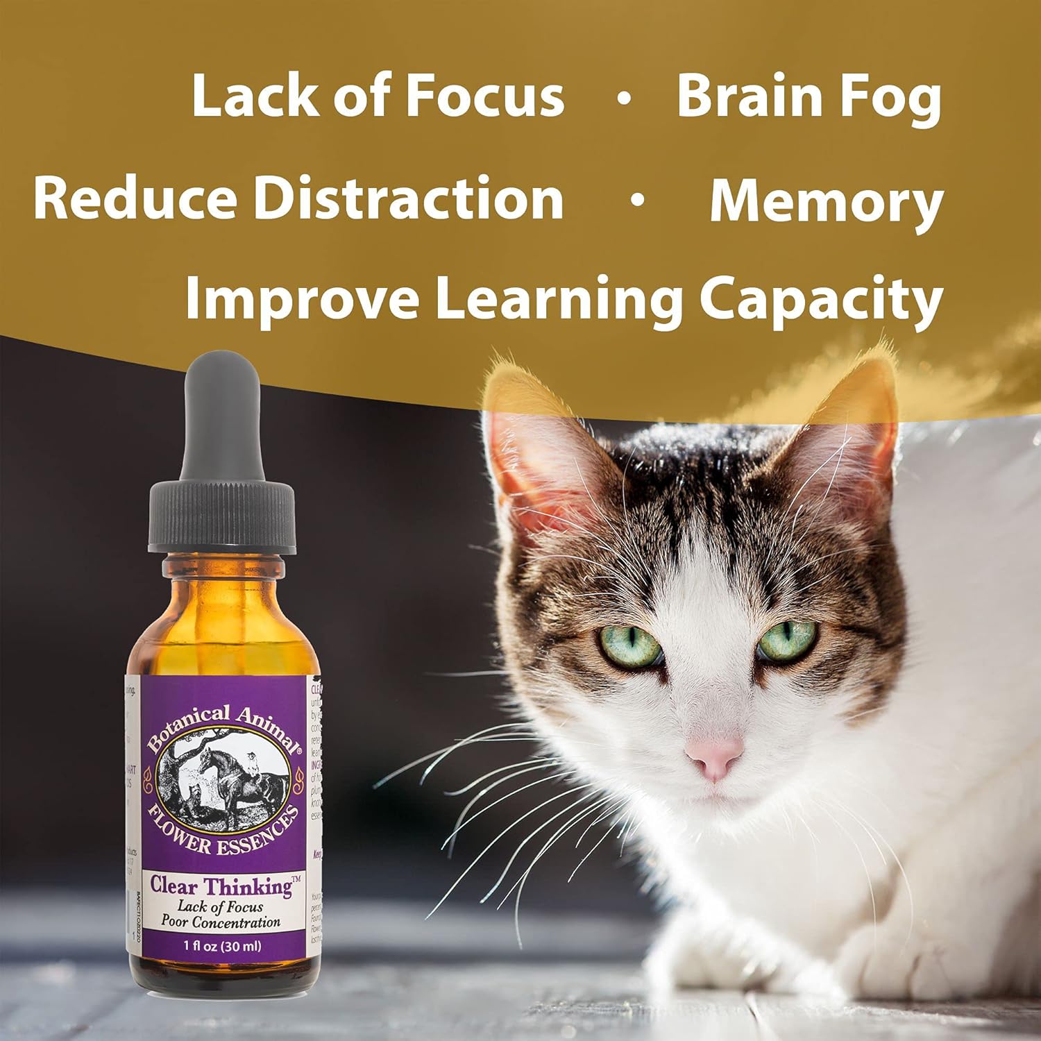 Botanical Animal Safe Natural Flower Essence Combination Competitive Edge Kit - Calm, Cool, Collected Animals During Show & Competition - Non-Mood Altering, Hemp-Free, Non Allergenic - 1 oz (30 ml)