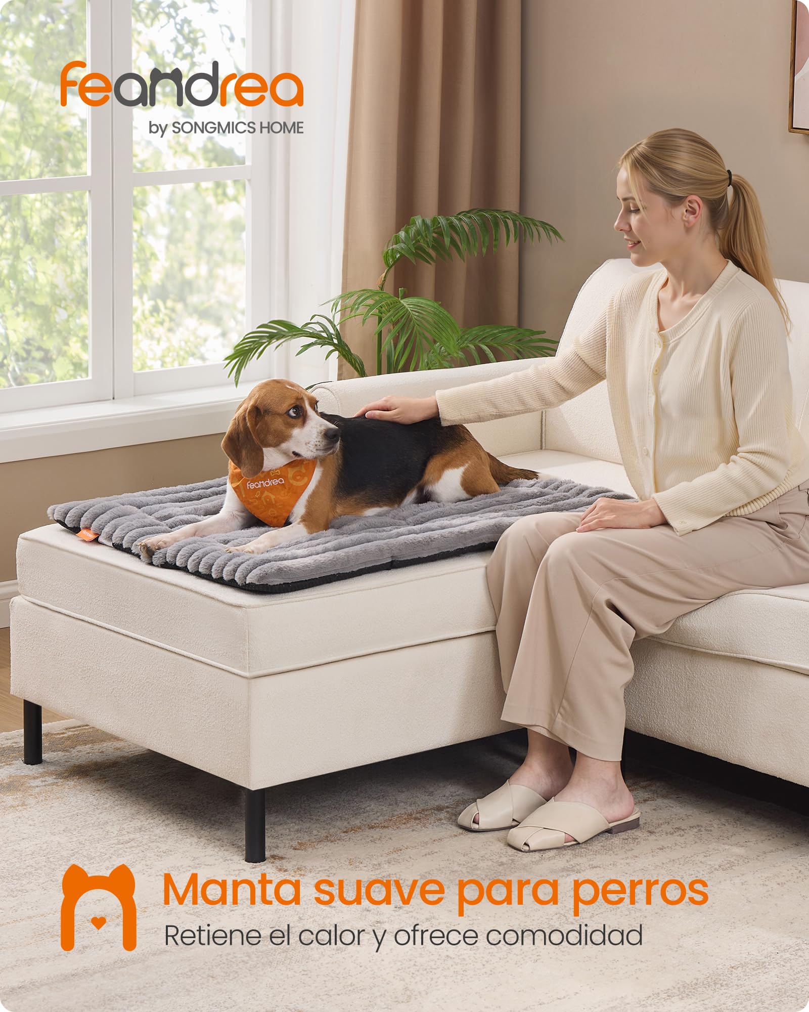 Feandrea Coperta per Cani, L, 90 x 65 cm, Coperta per Animali Domestici, Utilizzabile da Entrambi Lati, Copridivano per Cani e Gatti Lavabile in Lavatrice, Grigio Tortora PPB043GD01