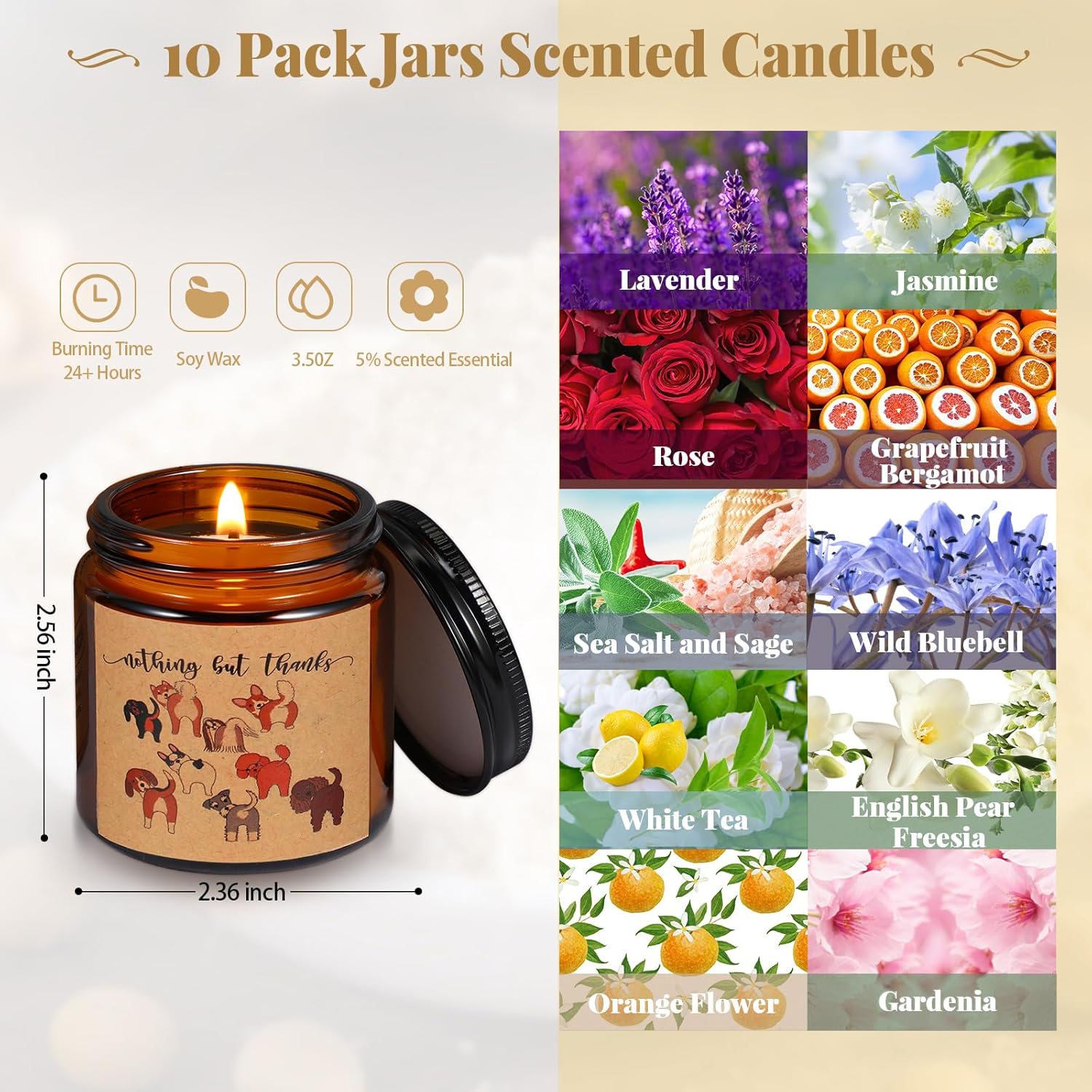 Fumete 10 Pcs Employee Appreciation Gifts Jars Scented Soy Candles 3.5 oz The Difference Candles Team Thank You Gifts for Vet Tech Office Coworker Volunteers Nurse Teachers(Amber, Nothing But Thanks)