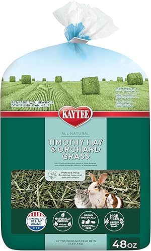 Kaytee Timothy - Hierba de heno y huerto para conejillos de indias, conejos y otros animales pequeños, 48 onzas