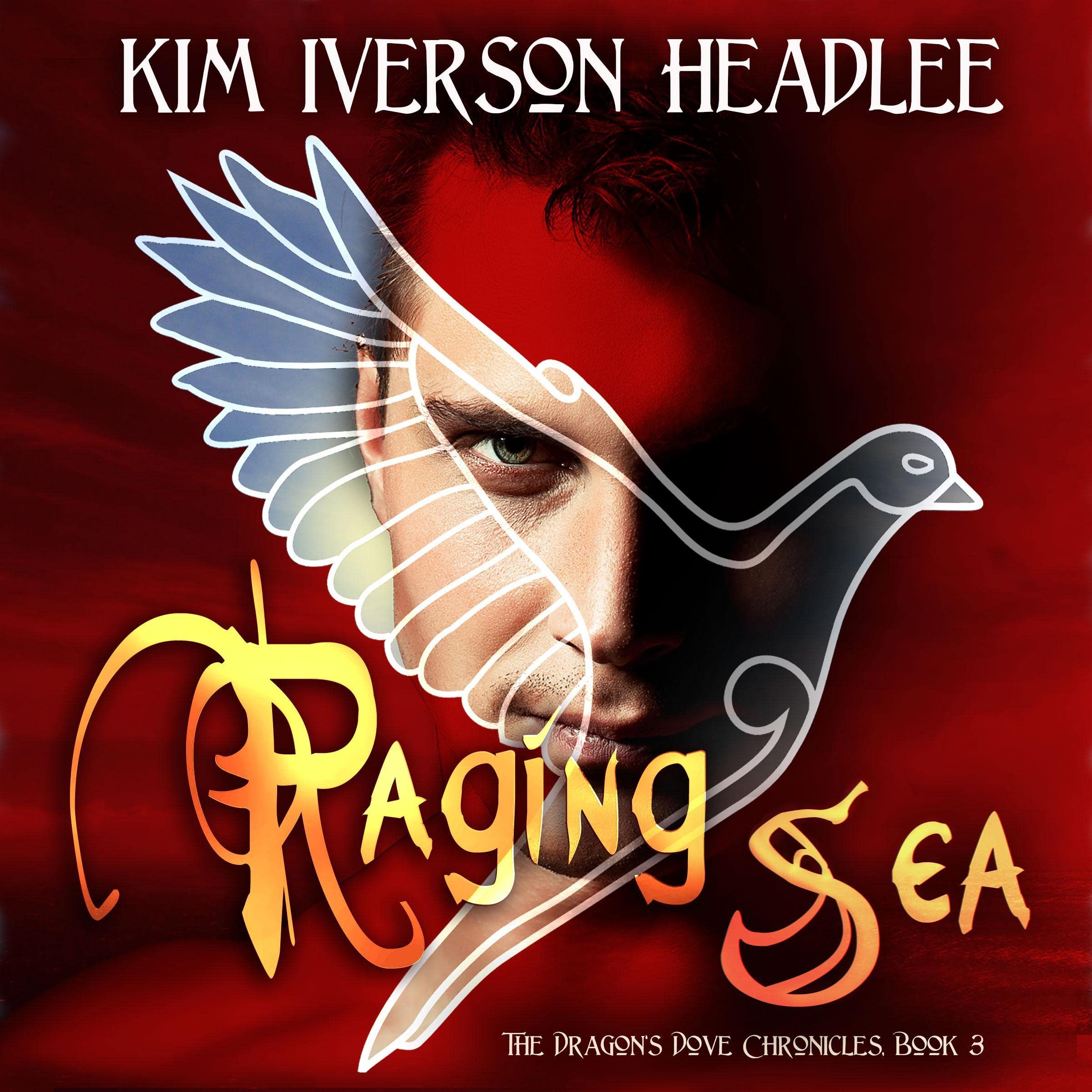 Cover art for Raging Sea