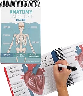 Anatomy Label Lab Workbook