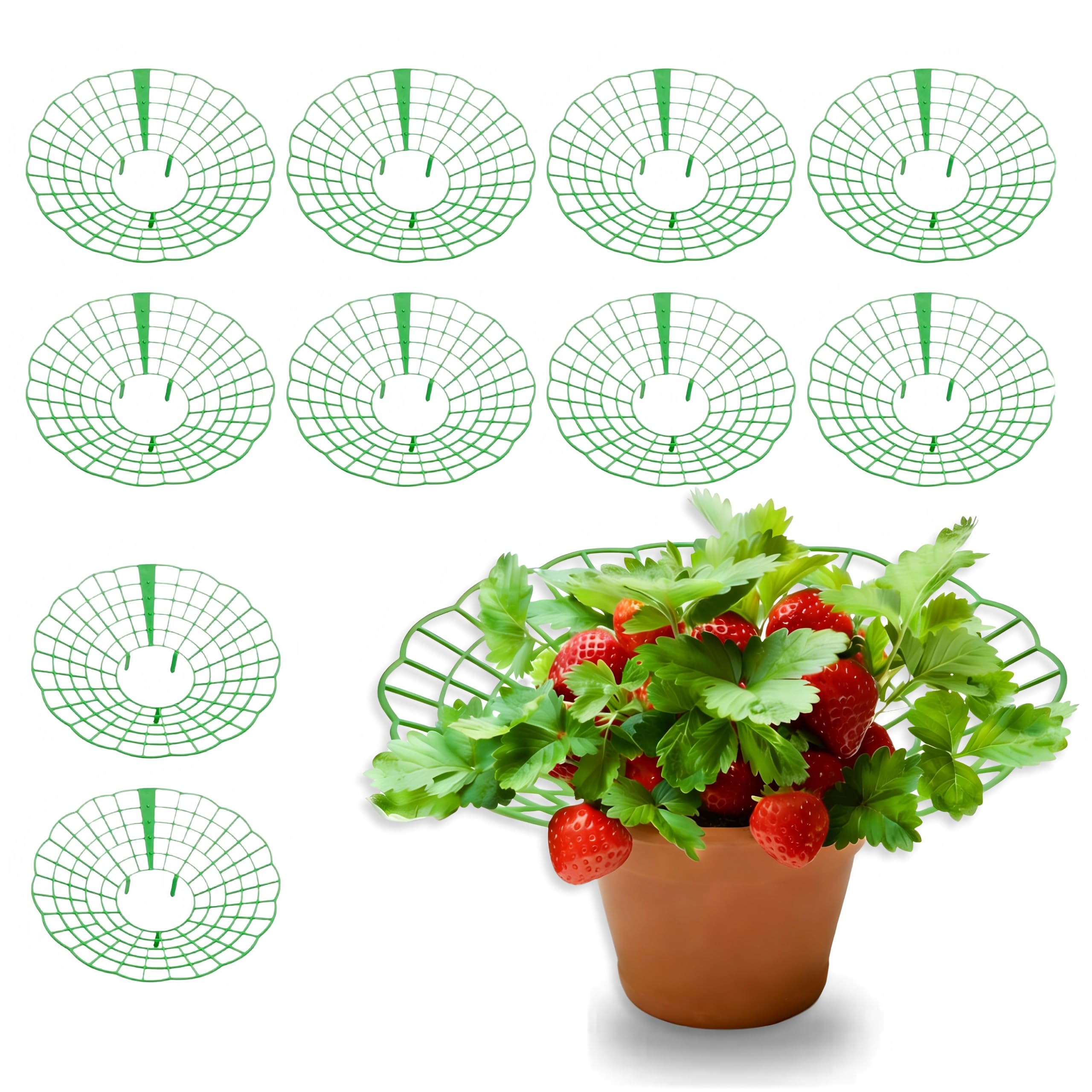 HUSHRICH 6Pack Strawberry Supports, Strawberry Mature Set, Plant Support Stand, Square Flower Stand, Garden Plant Trellis for Garden Snail Protection/Protection from Rot