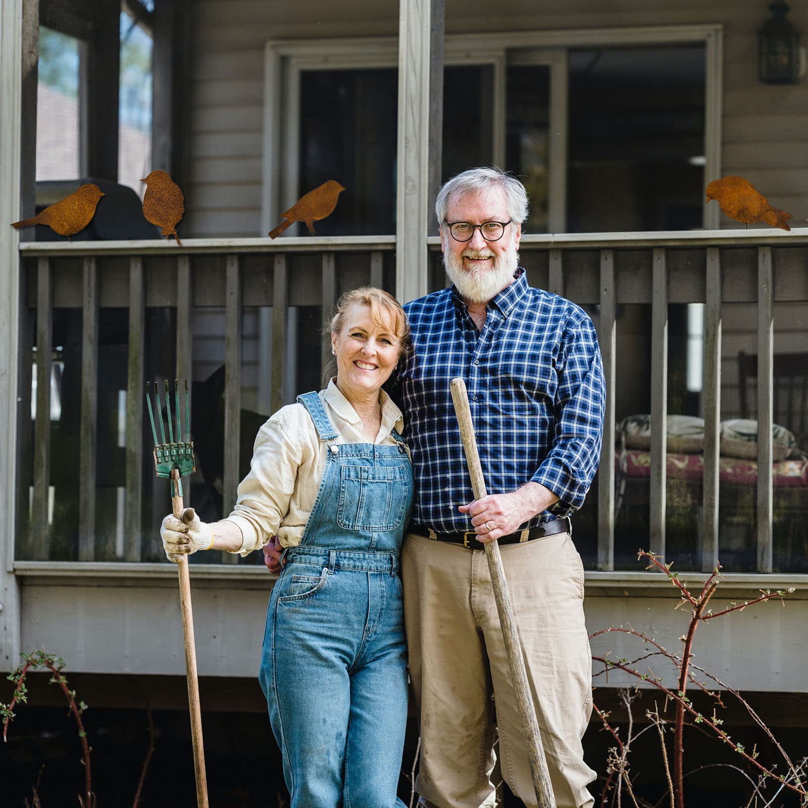 4PCS Oiseaux Rouillés Avec Vis à Visser Dans Le Bois,Oiseaux