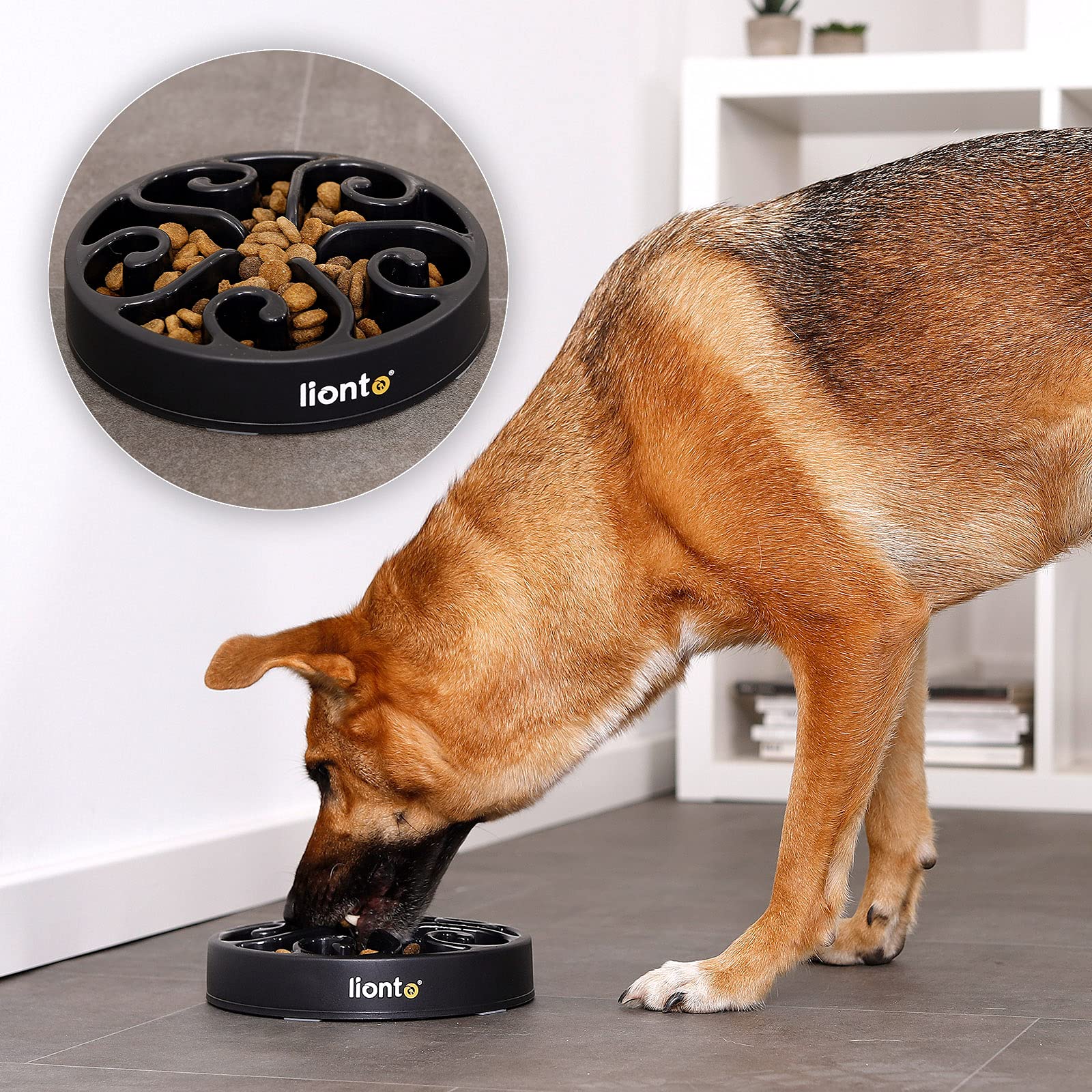 lionto Ciotola per cani Ciotola anti-ingozzamento Ciotola antiscivolo Ciotola per Gatti Ciotola per cani anti-ingozzamento Ciotola per cibo, 20x5 cm Nero