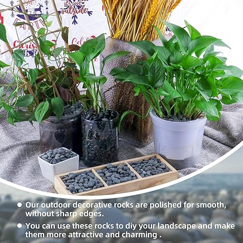 Miniatura 3 de Piedras pequeñas y lisas de río de 18 libras para plantas y suculentas, rocas decorativas de jardín para paisajismo al aire libre, guijarros de