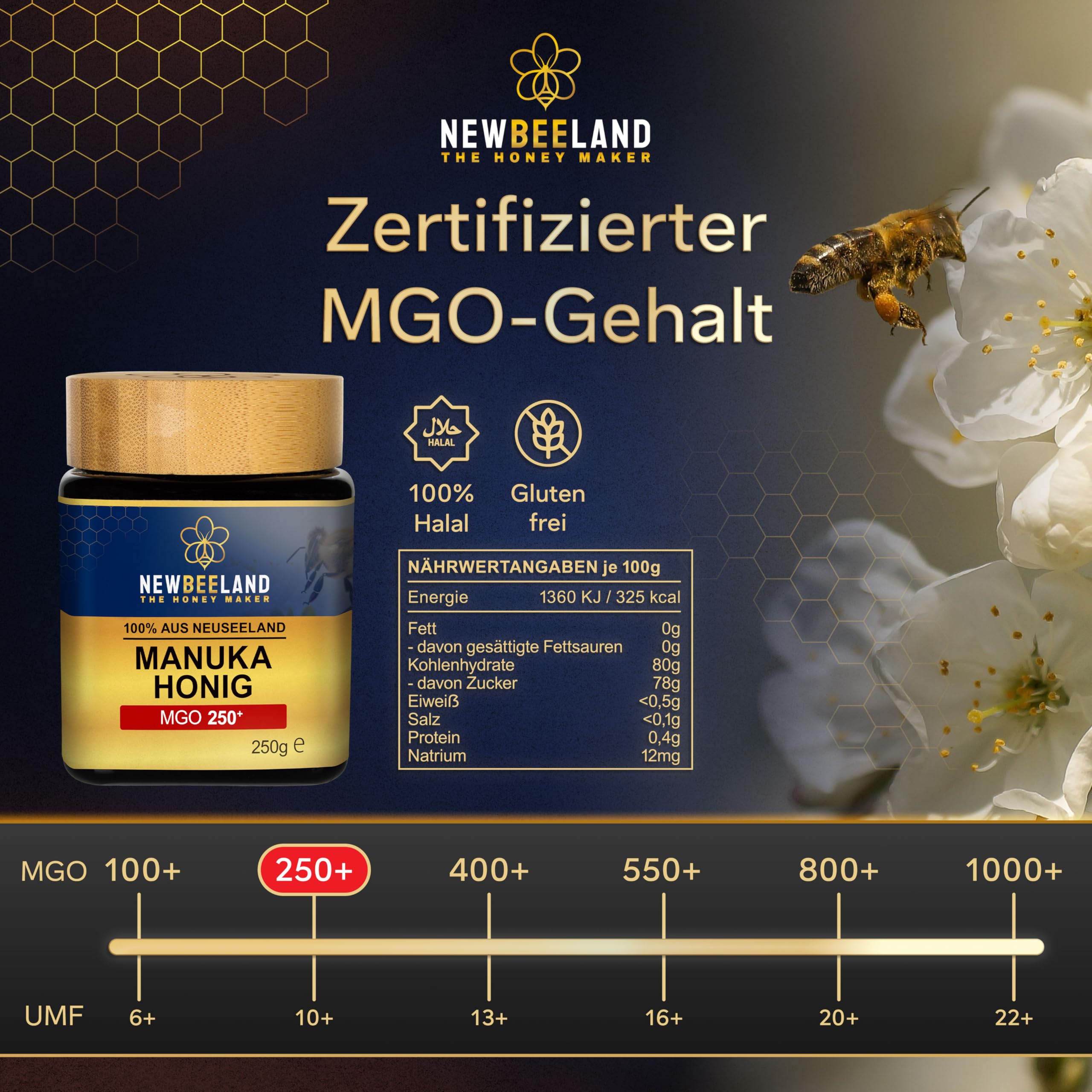 NEWBEELAND Manuka Honig MGO 250+ Direktimport aus Neuseeland 2X250g (500g) | chargengeprüfter Methylglyoxal-Gehalt (MGO), Cremig-zähflüssige Textur, herber & kräftiger Geschmack, lichtgeschütztes Glas