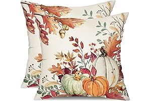 DFXSZ Thanksgiving Pillow Covers 18x18