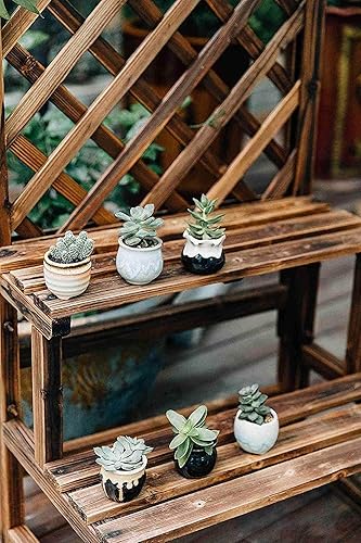 Miniatura 2 de T4U Macetas pequeñas de cerámica para suculentas de 2.5 pulgadas con orificio de drenaje, juego de 24, recipientes pequeños de cactus esmaltados y