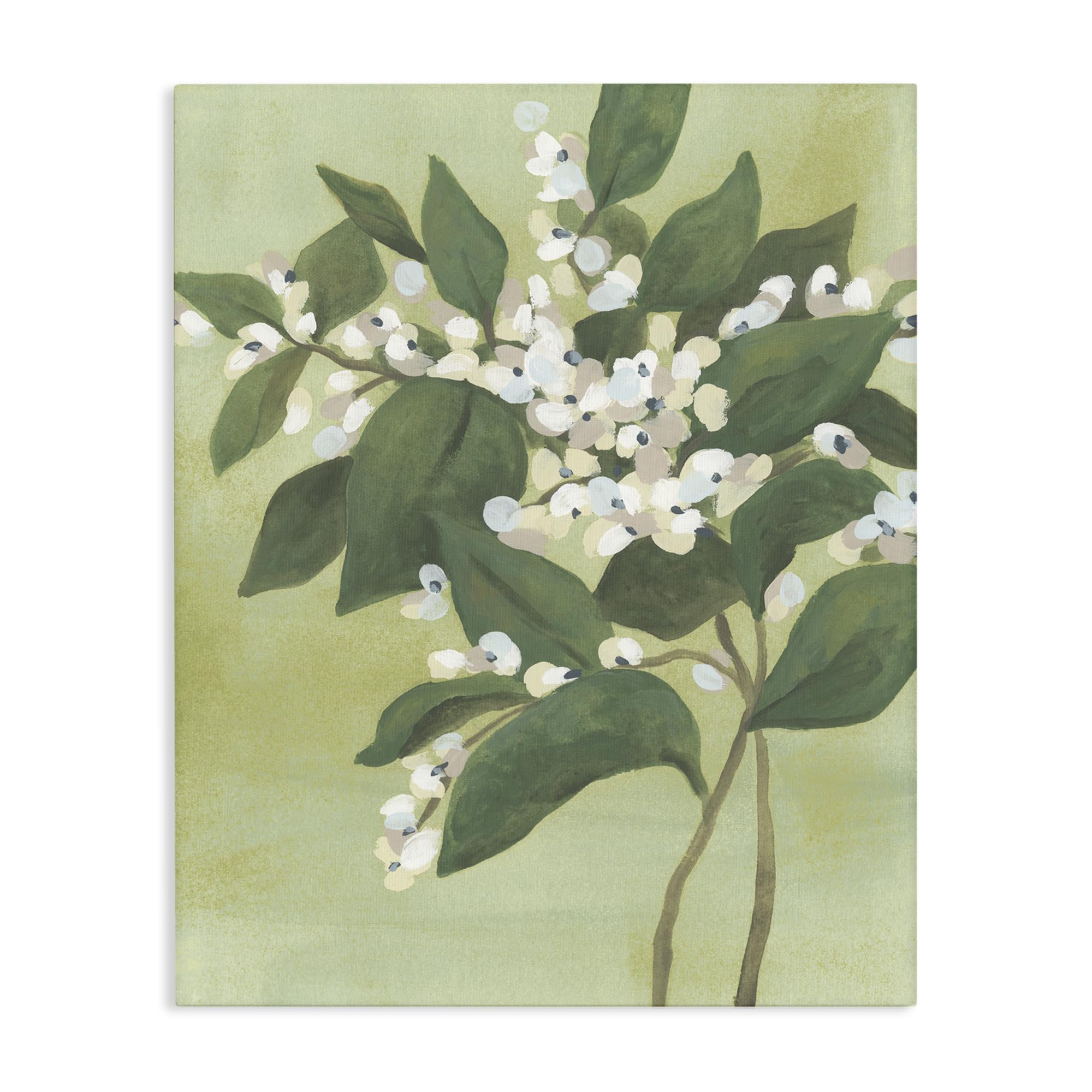 Stupell Industries 'Verdant Branch Bloom', Canvas Art, 24 x 30, Ready to Hang Picture Décor, USA Made, By Artist June Erica Vess