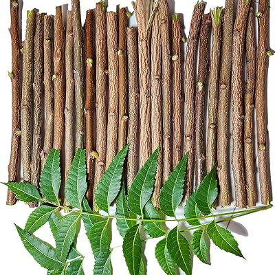 Ditor Tree Datun Ayurvedic Natural Organic Dried Neem Datun, Manual Nepal | Ubuy