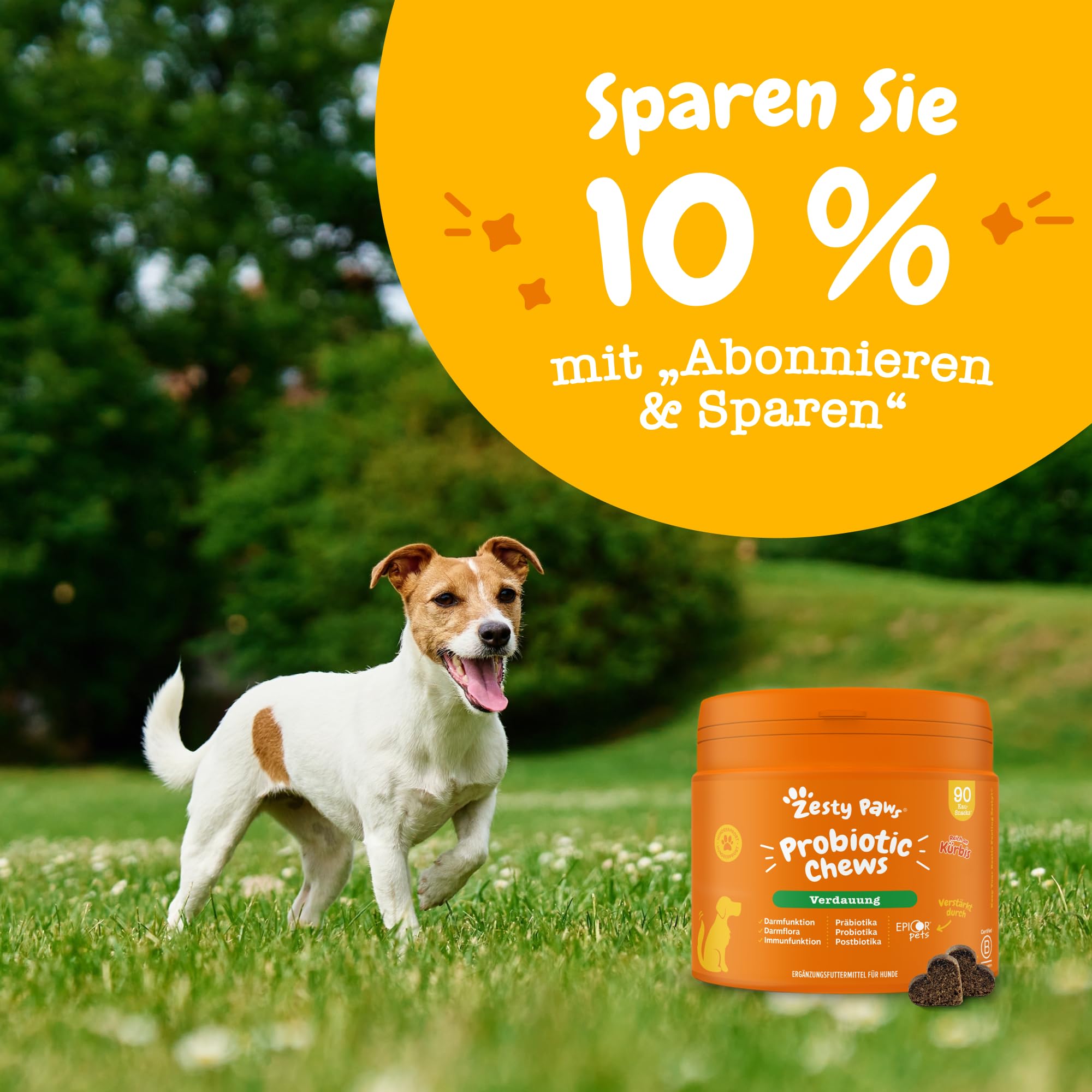 Zesty Paws Probiotika für Hunde – Unterstützt Darmflora, Verdauung & gegen Mundgeruch – Mit Pre-, Pro- & Postbiotika, Kürbis & Leinsamen – Tägliche Anwendung – 90 Kauleckerlis