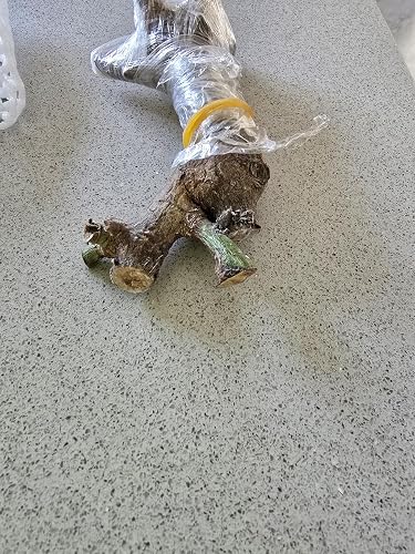 ubuy Fiji