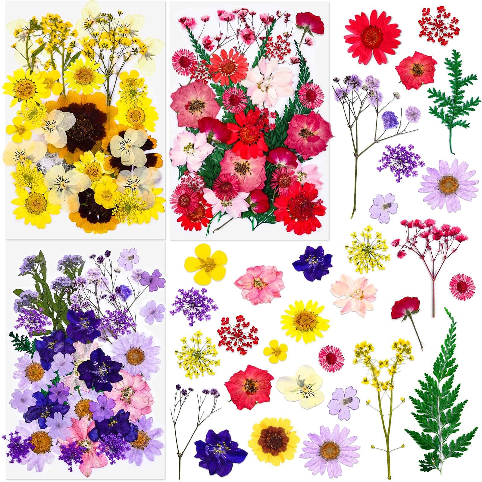 Pressed Dried Flowers for Resin, Thrilez 100Pcs Natural Dried Flower Herbs kit for Resin Jewelry Making Soap and Candle Making (Red, Yellow, Purple)