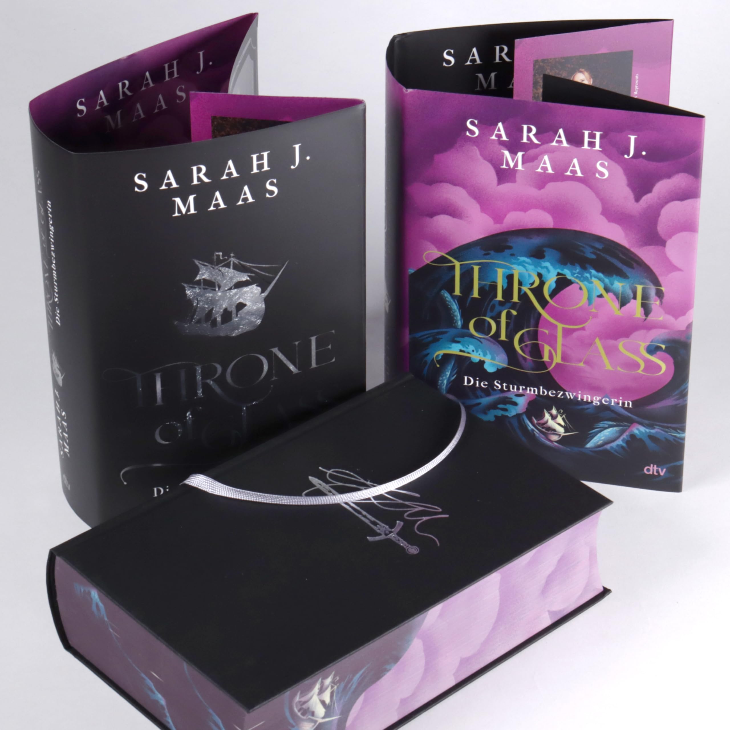 Throne of Glass – Die Sturmbezwingerin: Limitierte Sonderausgabe mit Wendeumschlag und hochveredelter Gestaltung (Die Throne of Glass-Reihe, Band 5)