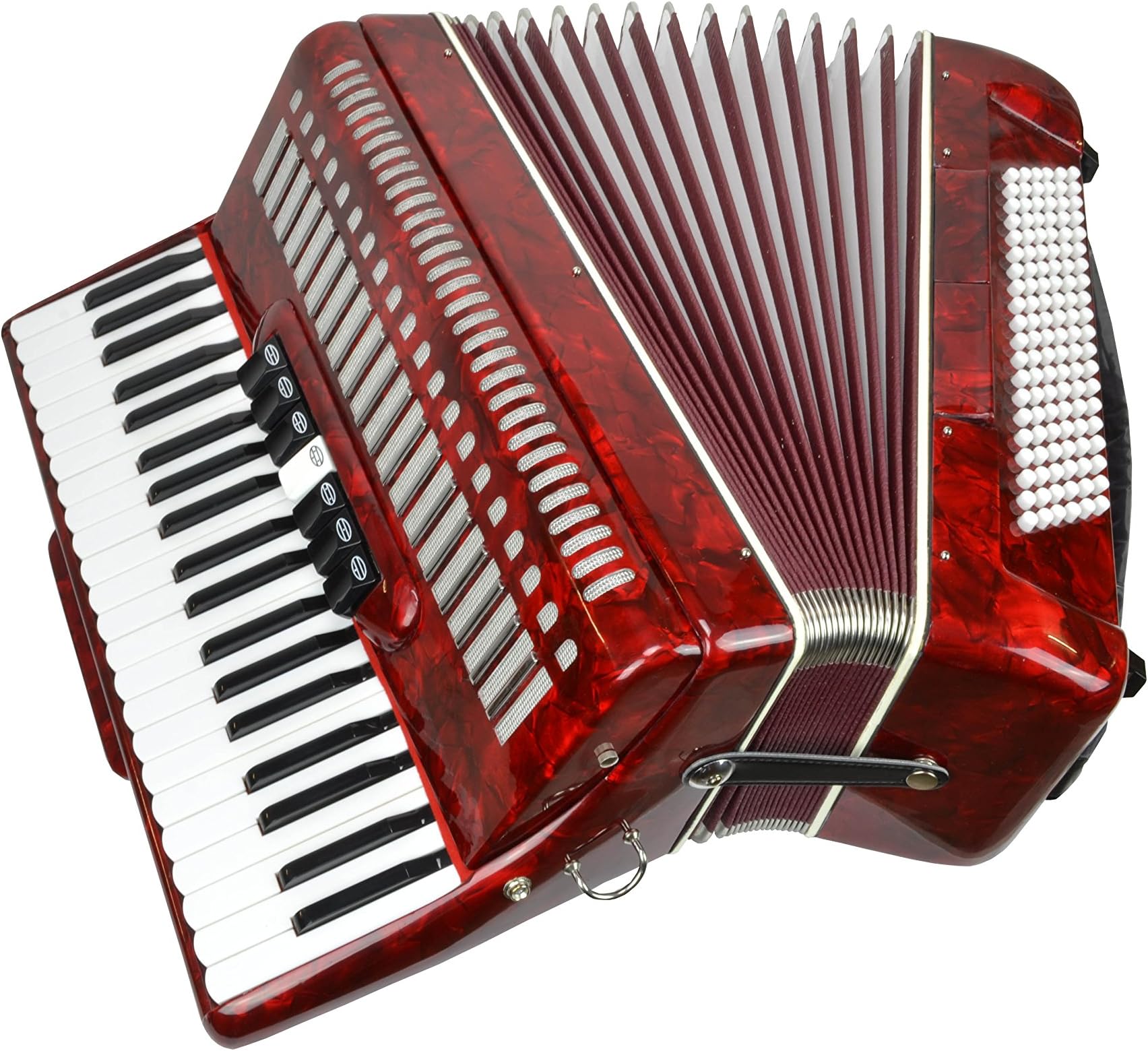 Sotendo Accordion 120 Bass Keys - 41 Treble Keys - with Straps and Case