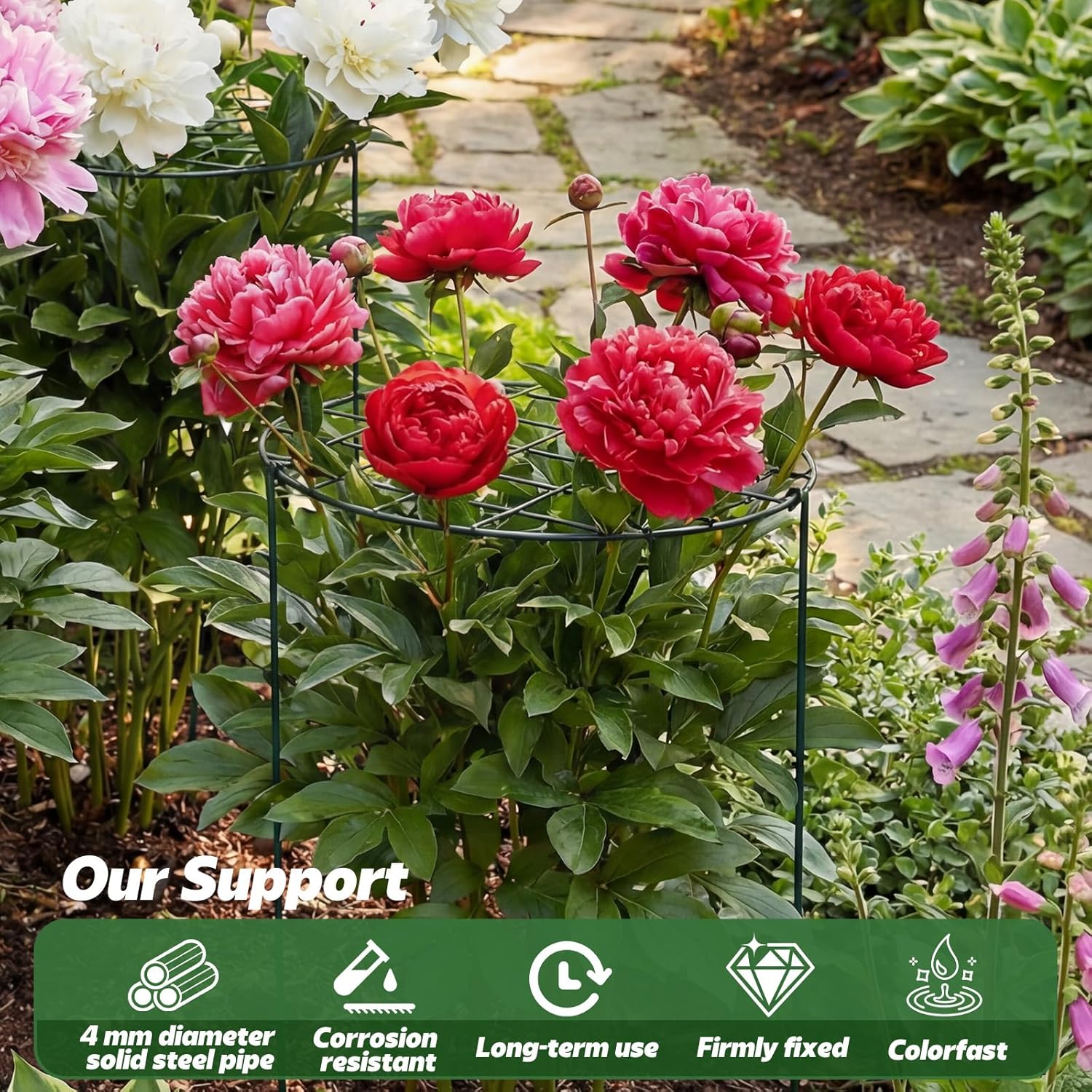 4 Pack Round Peony Cages and Supports 20 x 30 Inches (D x H) Grow Through Grid Plant Brace Plant Support Stake Heavy Duty Metal Flower Support Rings for Rose Tomato Hydrangea Strawberry