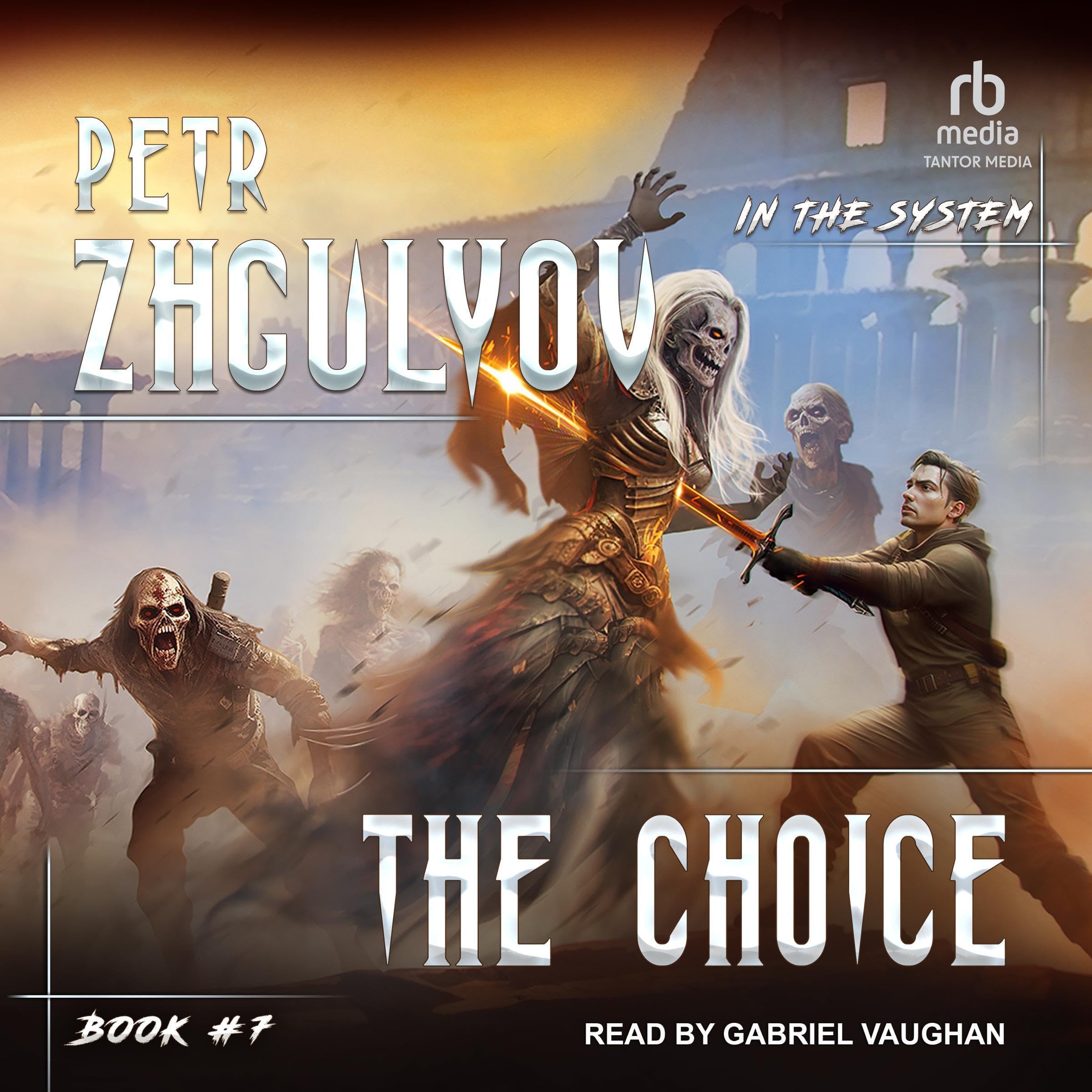Cover art for The Choice: LitRPG Series