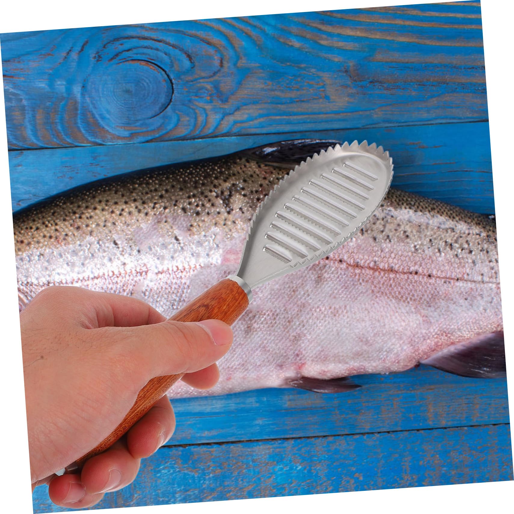 CZ11805-Ecailleur à poissonÉchelle de poisson brosse cuisine outil accessoires raclage peau de CZ11805-Ecailleur à poissonÉchelle de poisson brosse cuisine outil accessoires raclage peau de