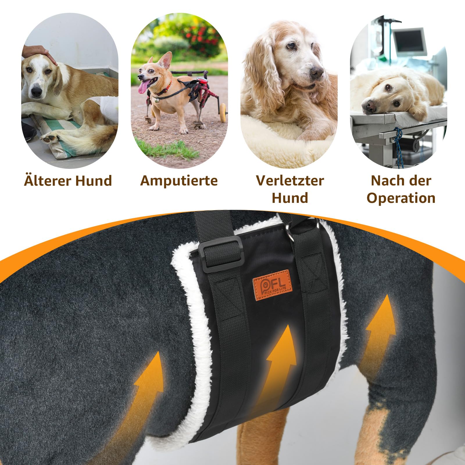 Aide au transport réglable pour chien - Sangle de transport portable pour la rééducation des chiens de taille moyenne et grande - Aide à la marche avec poignées comme soutien de sécurité pour chiens