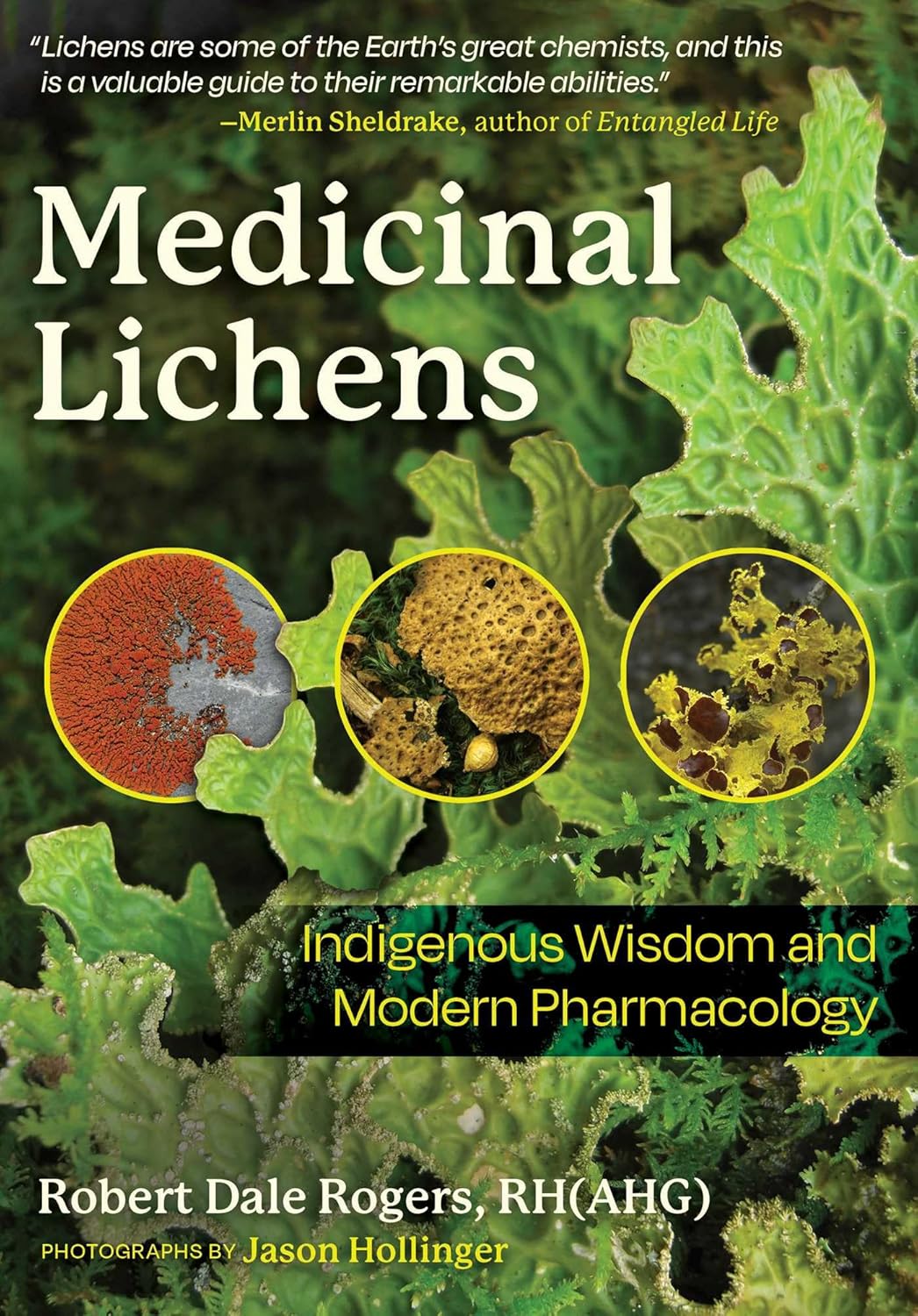 Medicinal Lichens: Indigenous Wisdom and Modern Pharmacology      Paperback – February 18, 2025