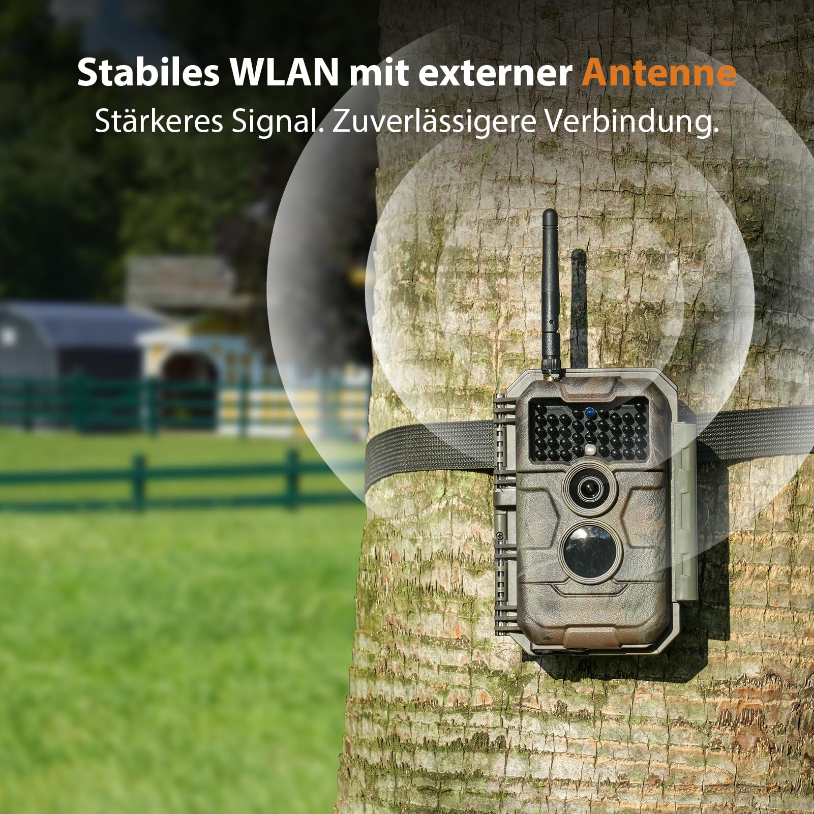 GardePro E6 Wildkamera WLAN, 64 MP, 1296p H.264 Video, 110° Blickwinkel, Wildtierkamera mit Nachtsicht, Bewegungsaktivierung, Garten-Kamerafalle
