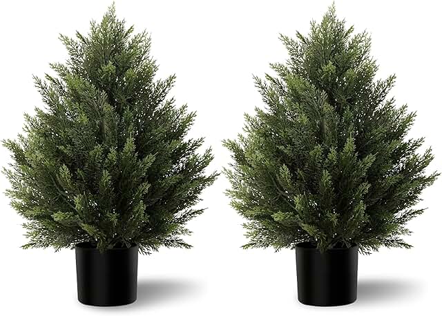 2FT Cedar Trees 2 Pack