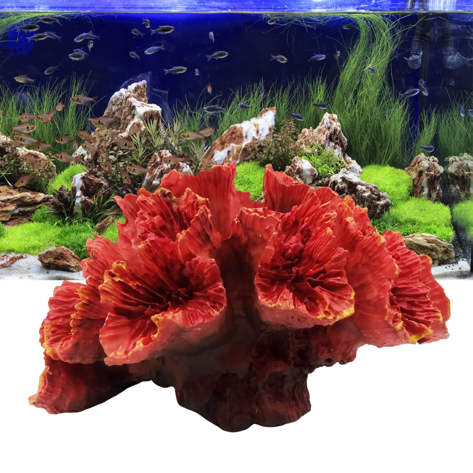 Molyorch Coral Ornaments Decoración, Artificial Plantas Decorativas Peceras Coral, Decorativas Peceras Coral Resina, para Decoración de Pecera, Embellecimiento del Paisaje, Adornos Acuario (Naranja)