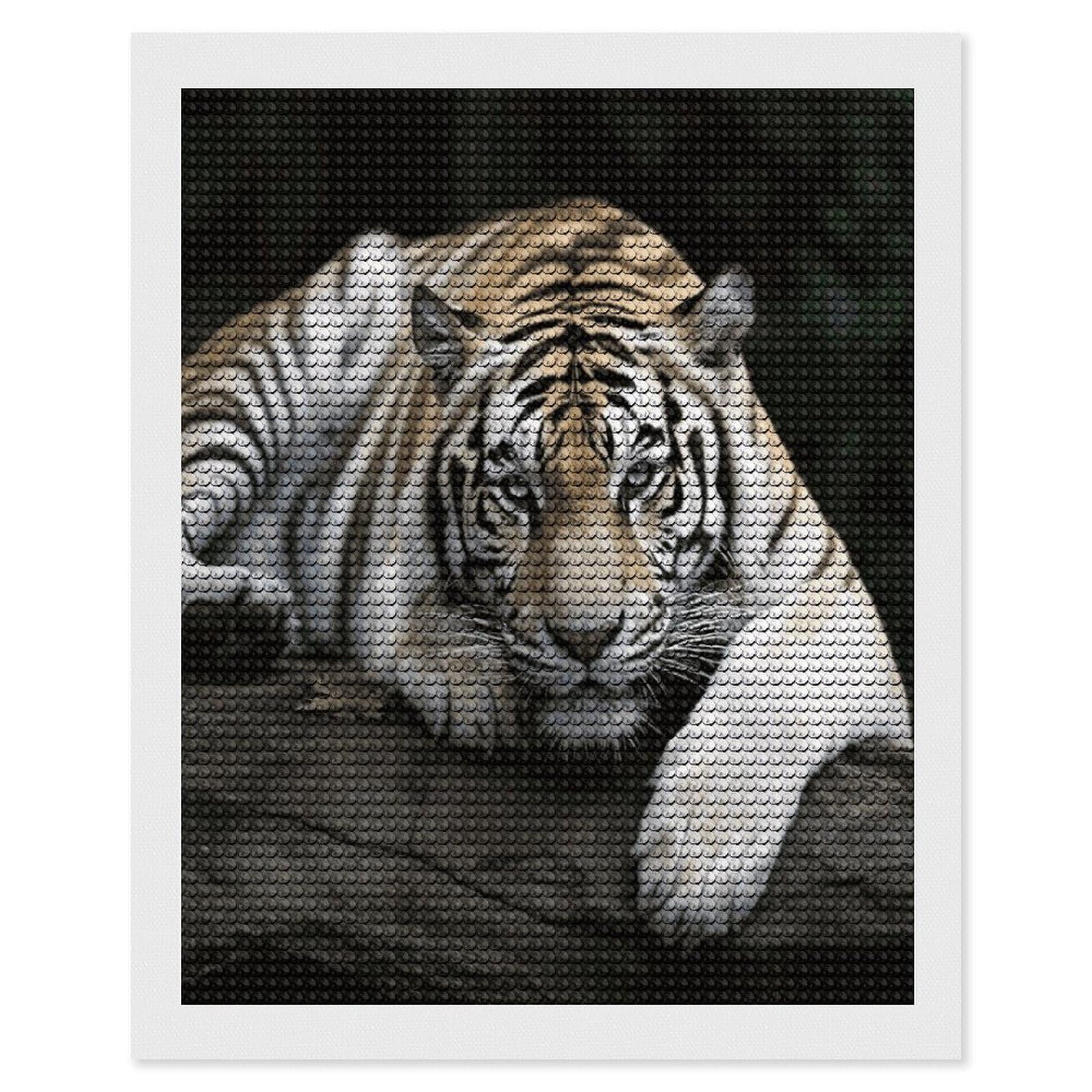 JTREHY Tiger Lie On Rock Diamond Art Kits Personalized DIY Round Diamond Painting Kits for Beginner Full Drill Diamonds Dots Paintings for Adults Gem Art Crafts Home Decor