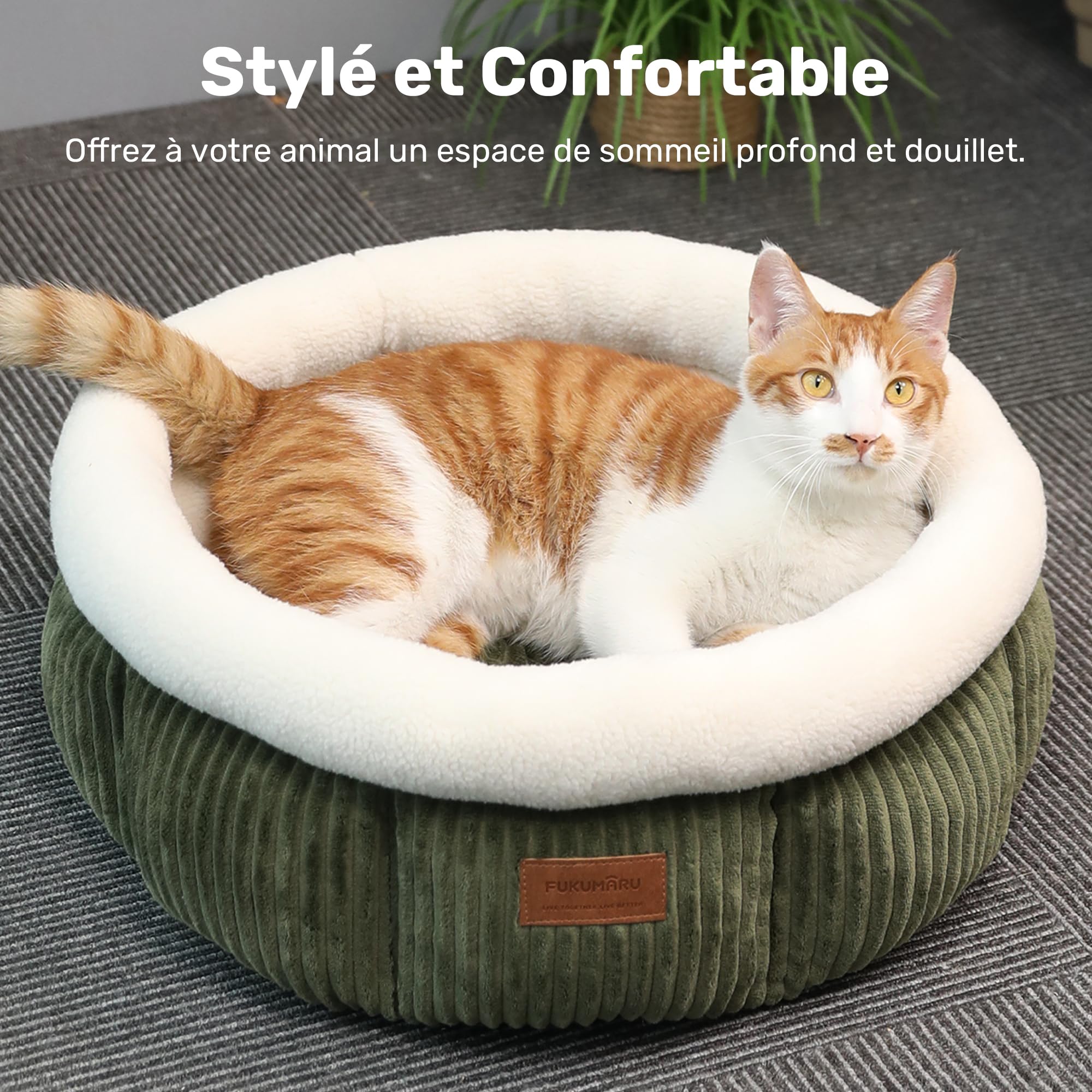 FUKUMARU Lit pour Chat, Panier Rond en Cordon d'Intérieur, Panier Lavable pour Chiot, Lit Doux et Mignon pour Petit Chien, Vert