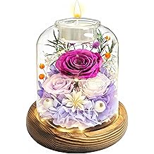 Preserved Rose Gifts for Women, Preserved Flowers in Glass Dome, Forever Flowers Real Long Lasting Flowers Gift for Anniversary, Birthday, Mother's Day, Wife, Mom(Purple)